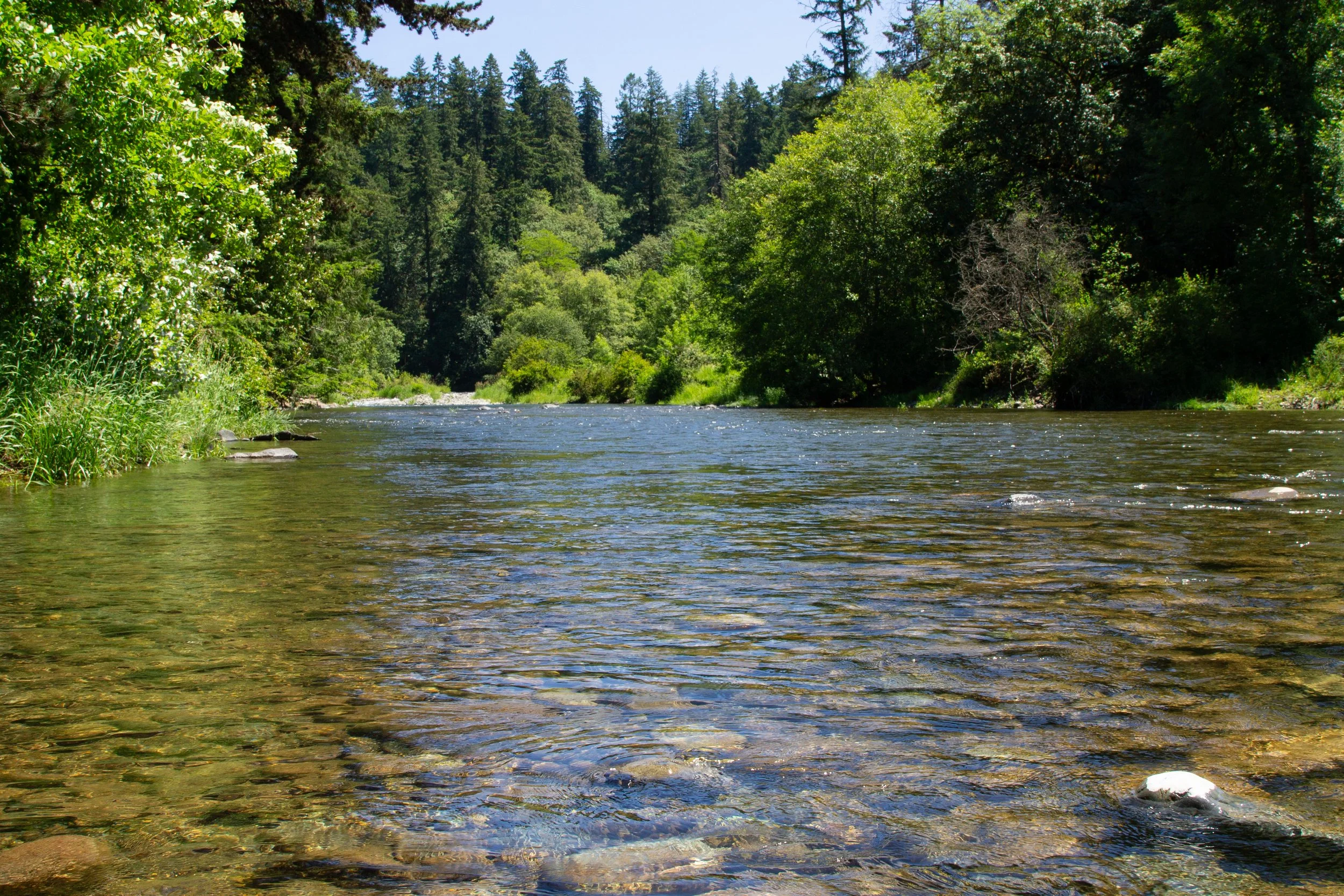 East Fork Lewis River in Lewisville Regional Park