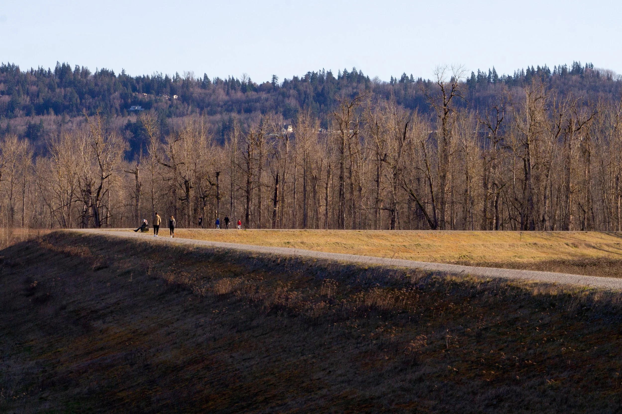 Long flat hiking trail through Steigerwald National Wildlife Refuge