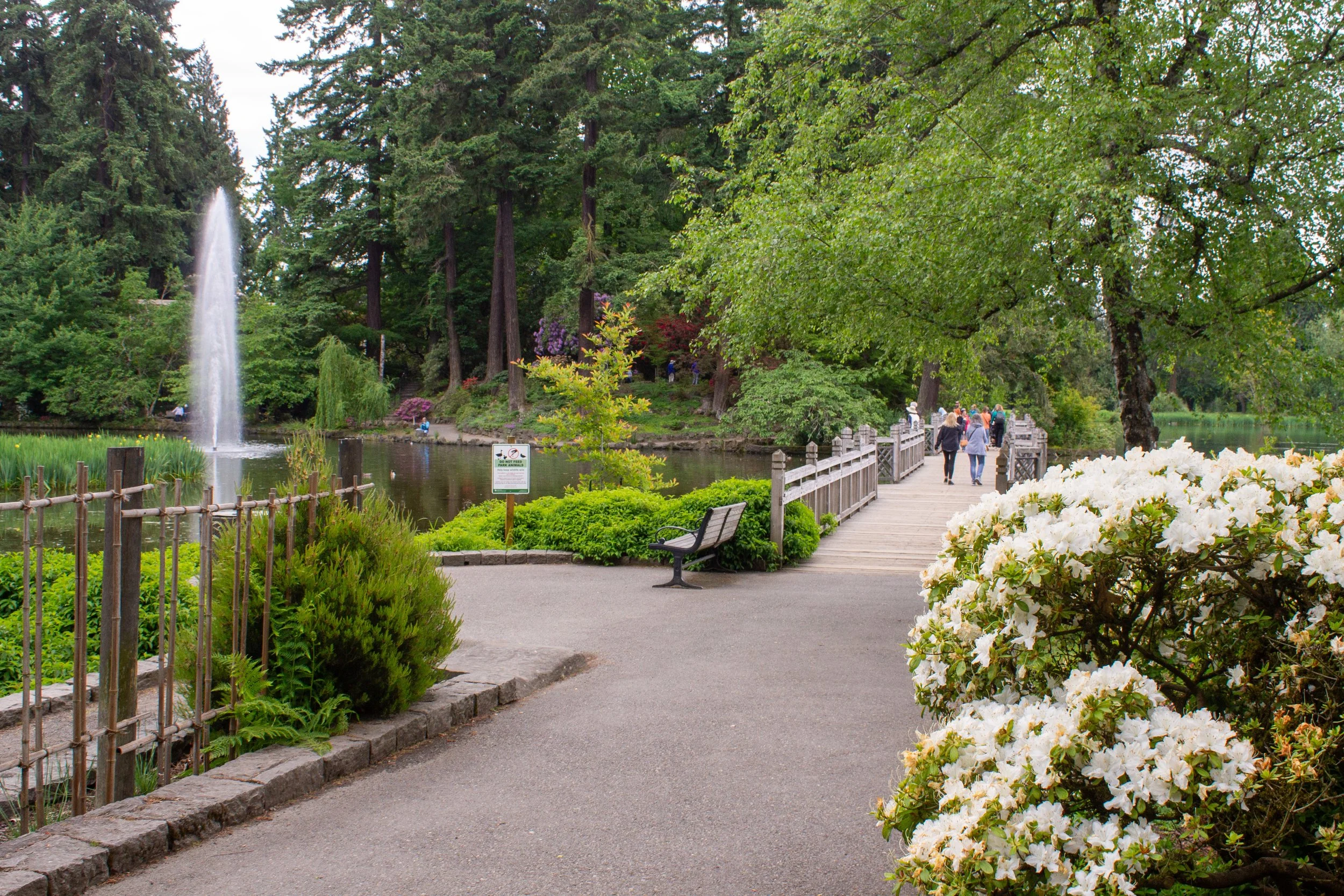 Bridge overlooking pond with fountain