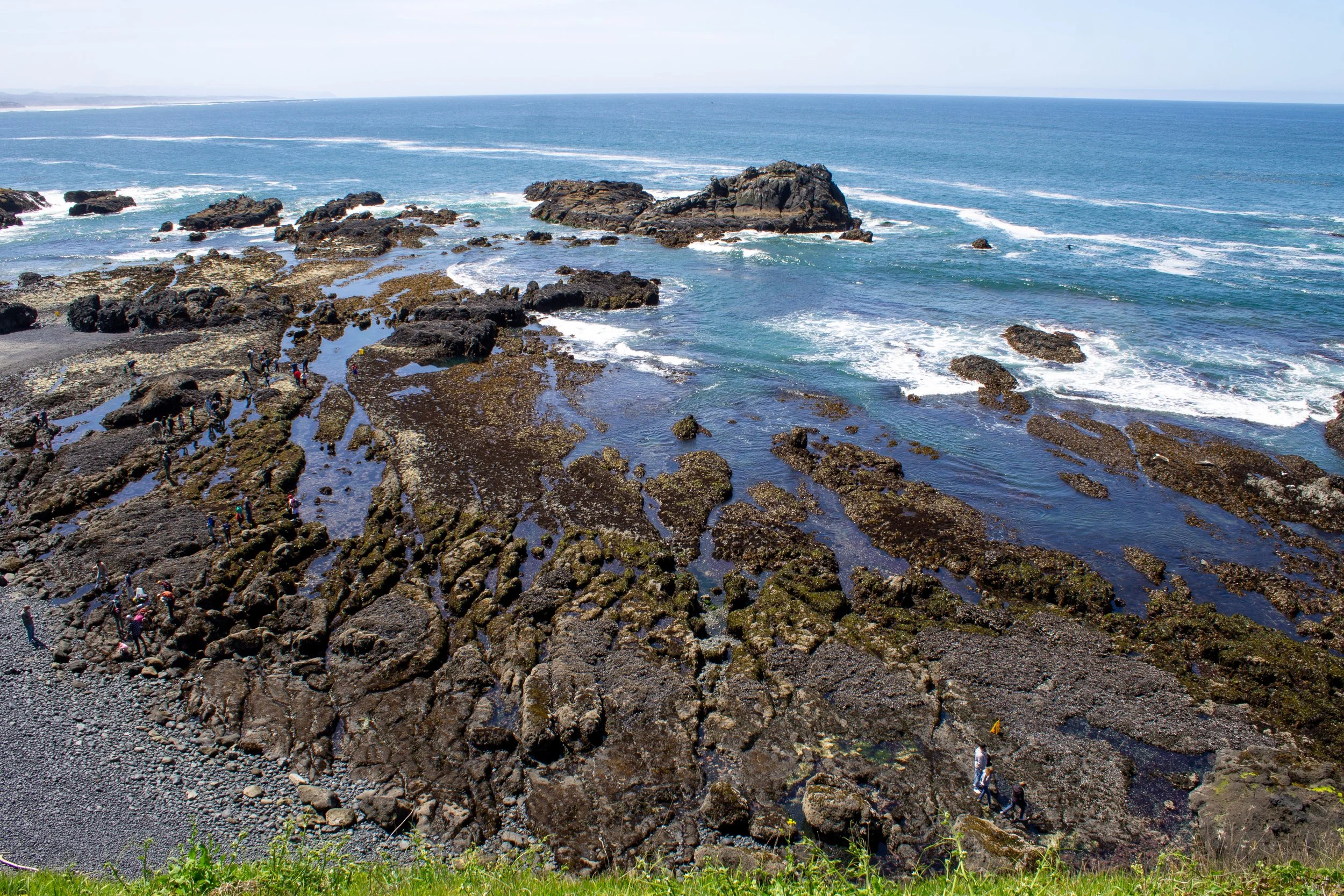 Rocky beach beneath Yaquina Head