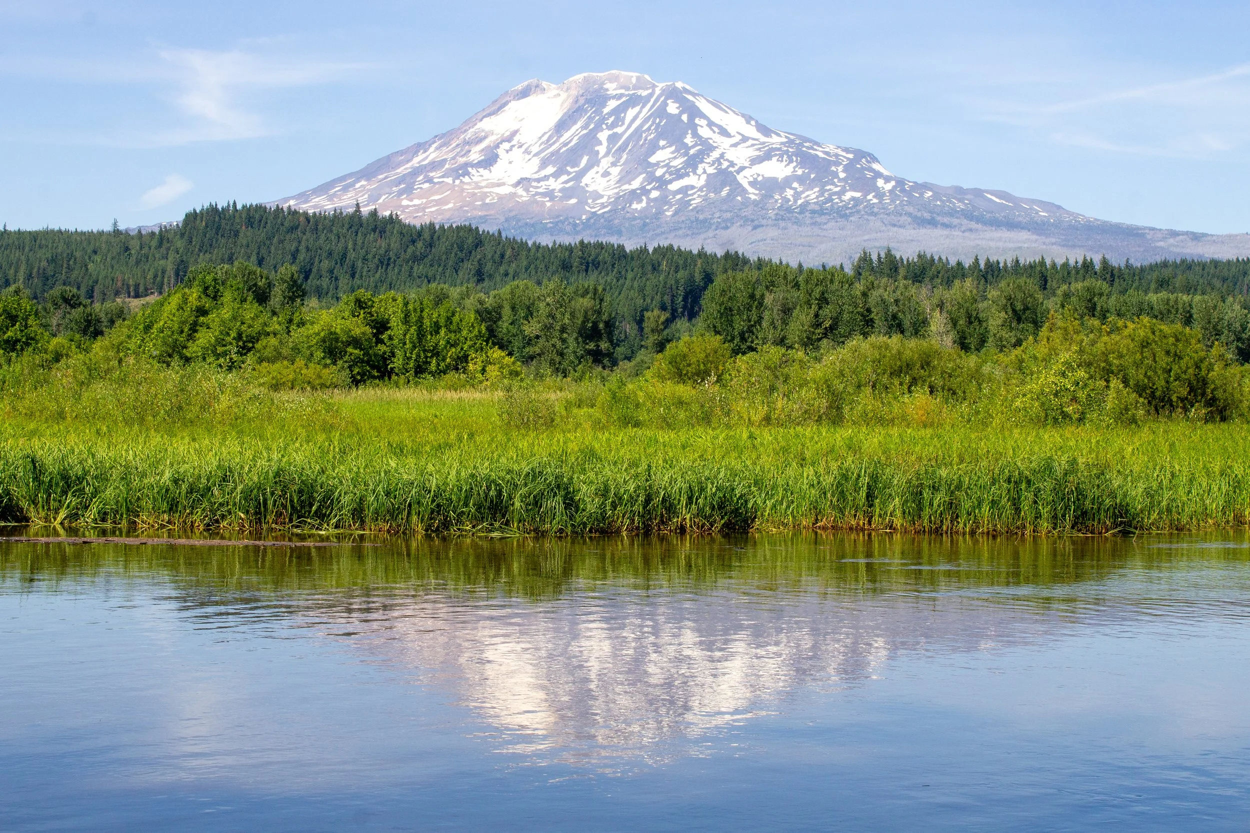 Mount Adams reflection on Trout Lake