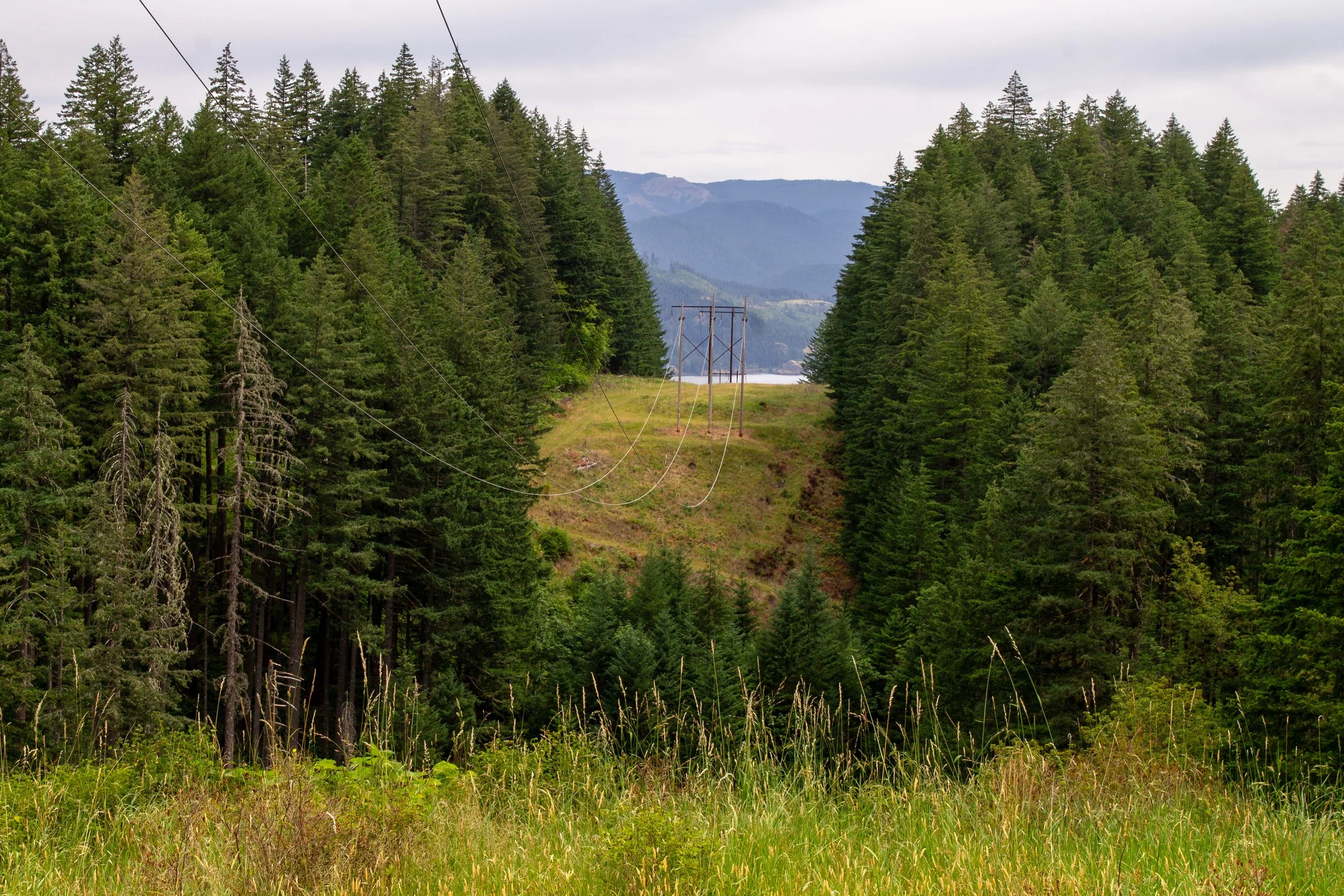 Power line corridor