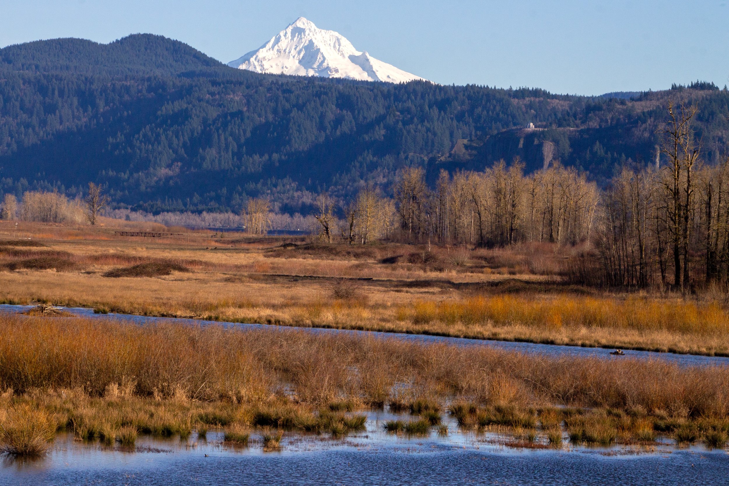 Visiting Steigerwald Lake National Wildlife Refuge