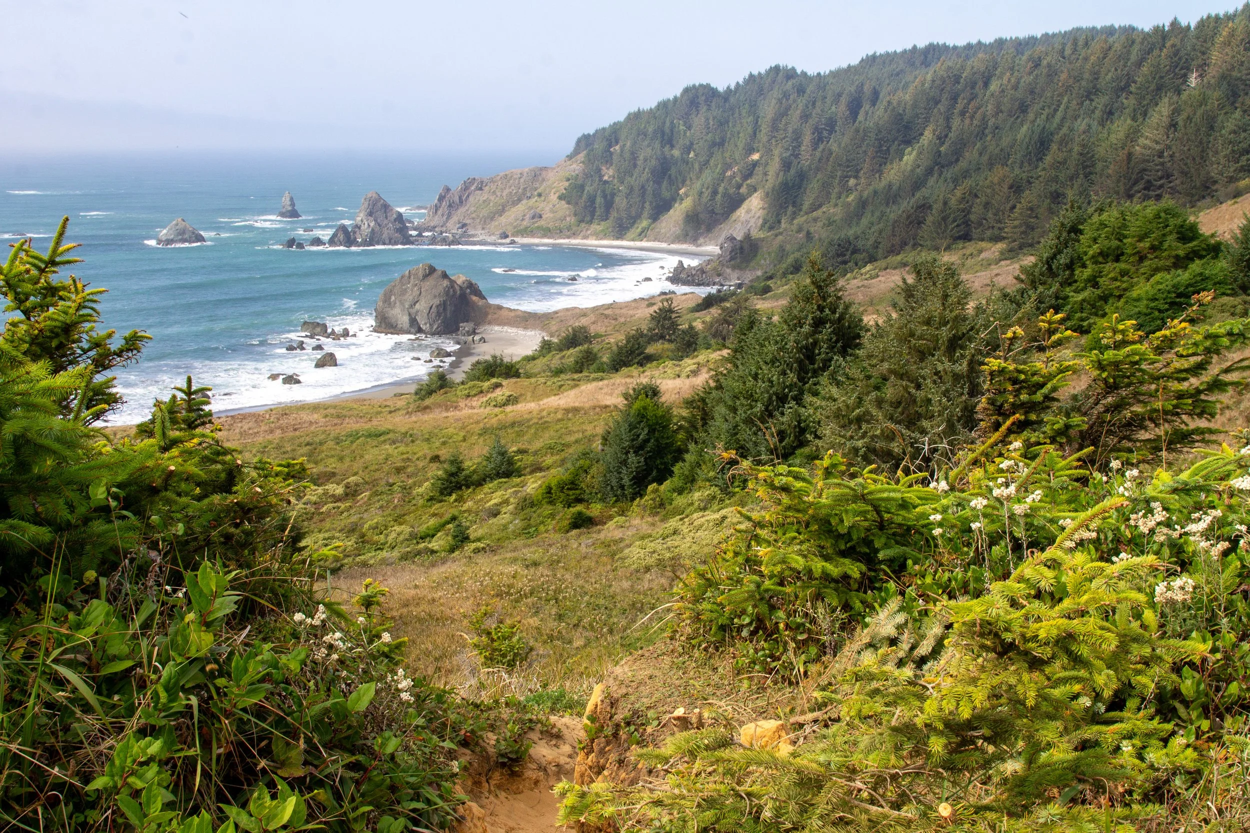20 Best Hikes on the Oregon Coast