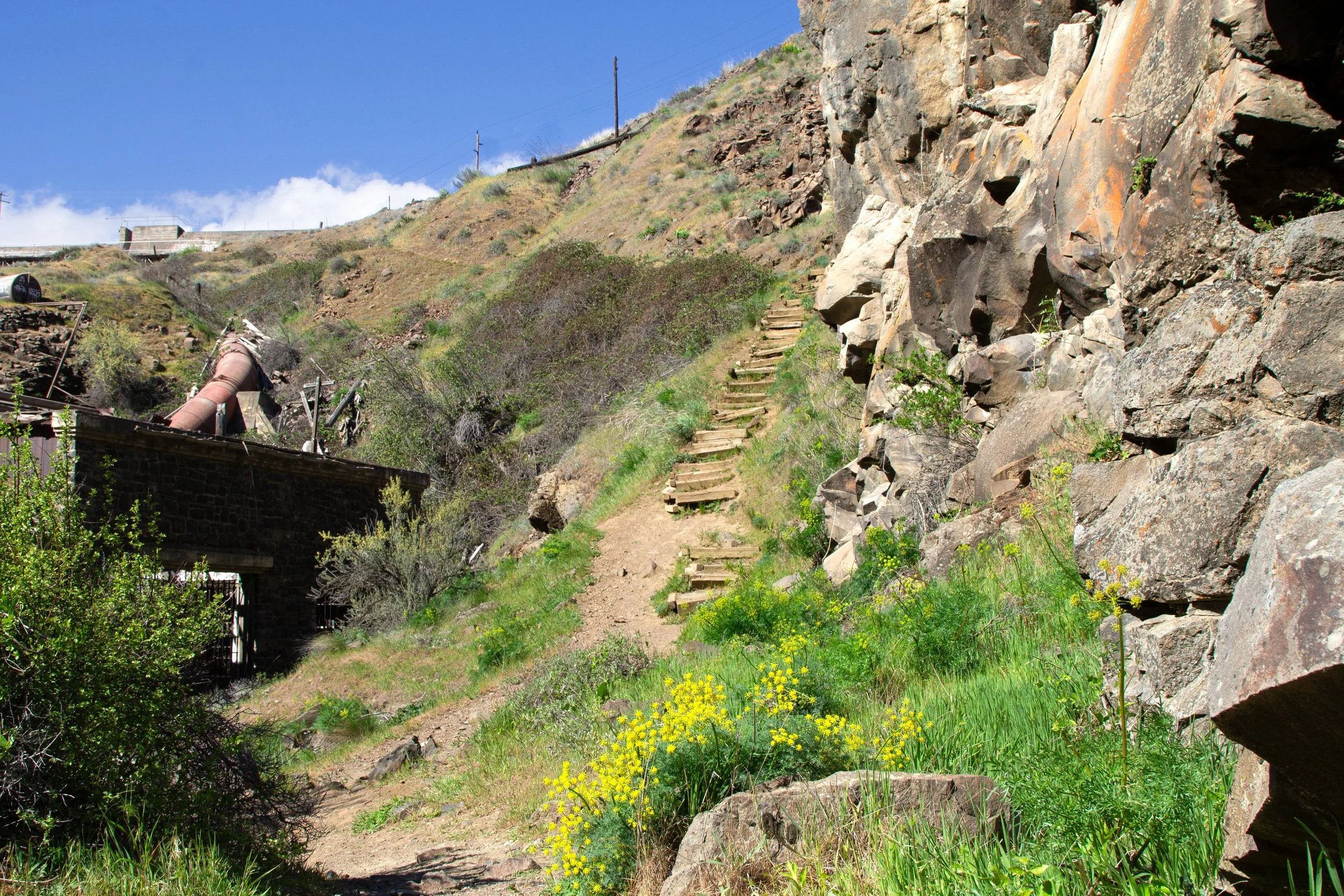 Wood stairs next to cliff