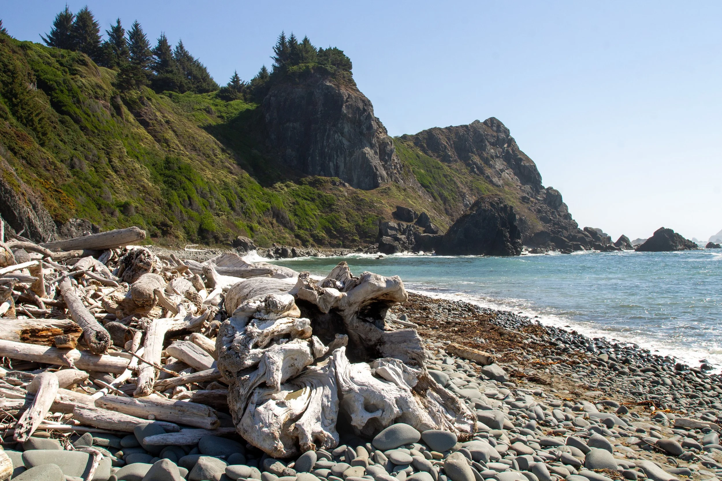 Driftwood on Lone Ranch Beach