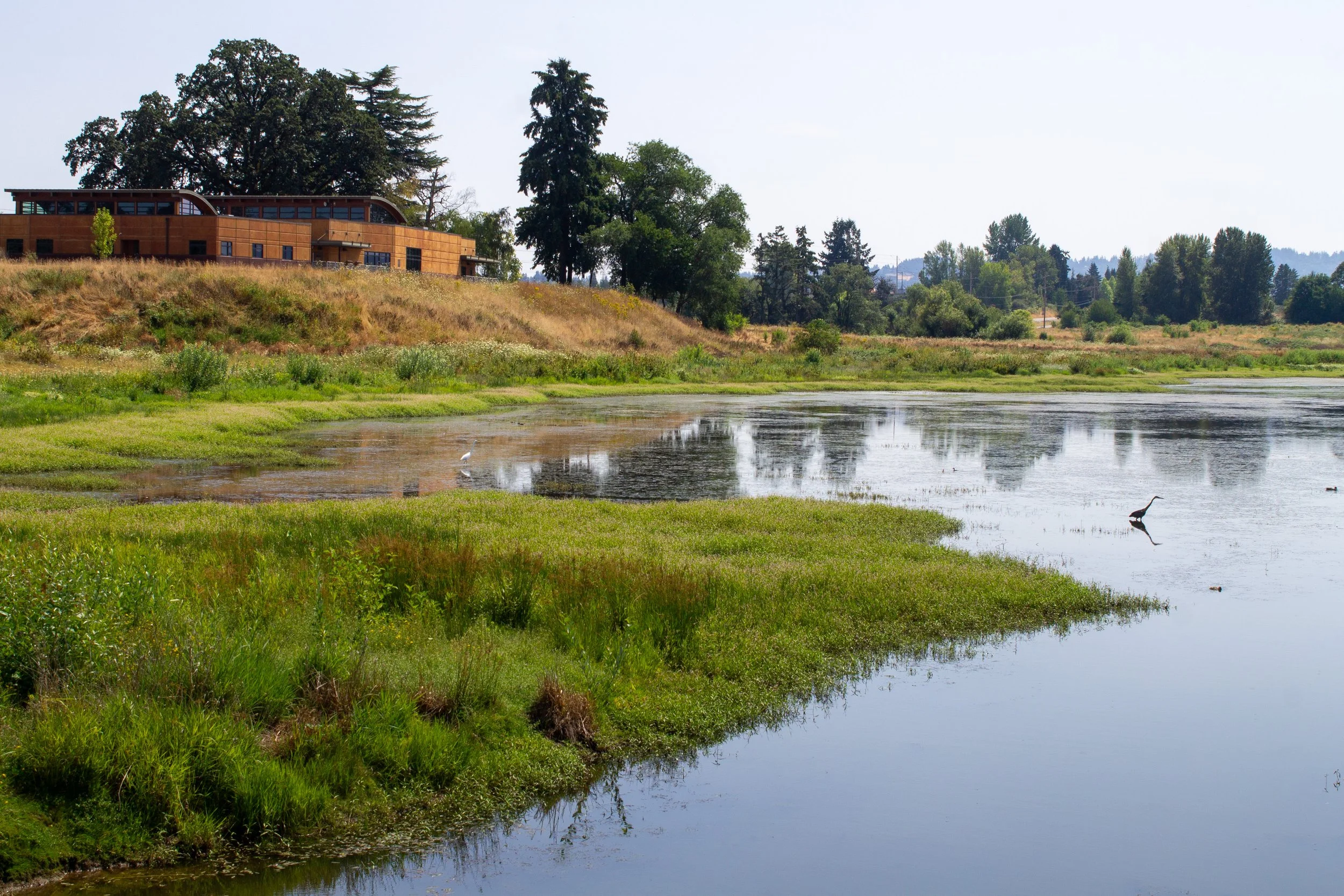 Visitor center overlooks wetland with wading bird