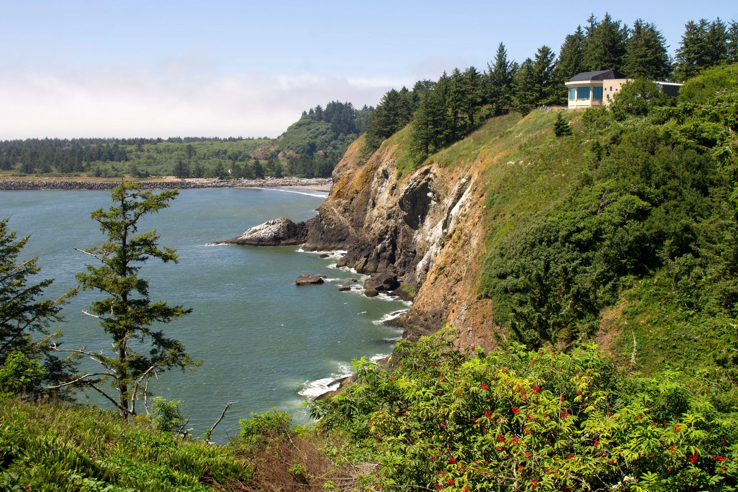 Quick Guide to Cape Disappointment State Park — Pines and Vines