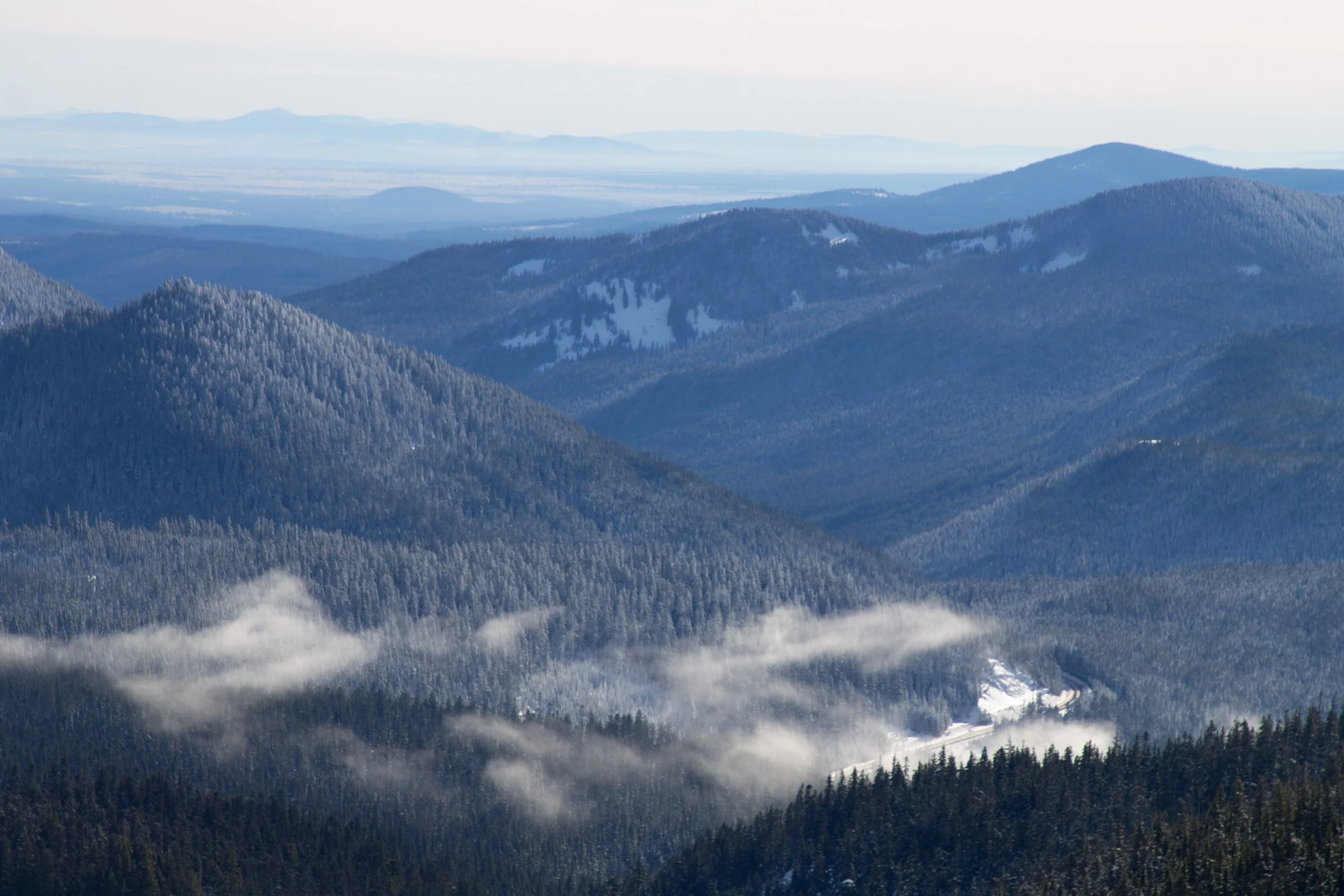 Low clouds in Mount Hood National Forest