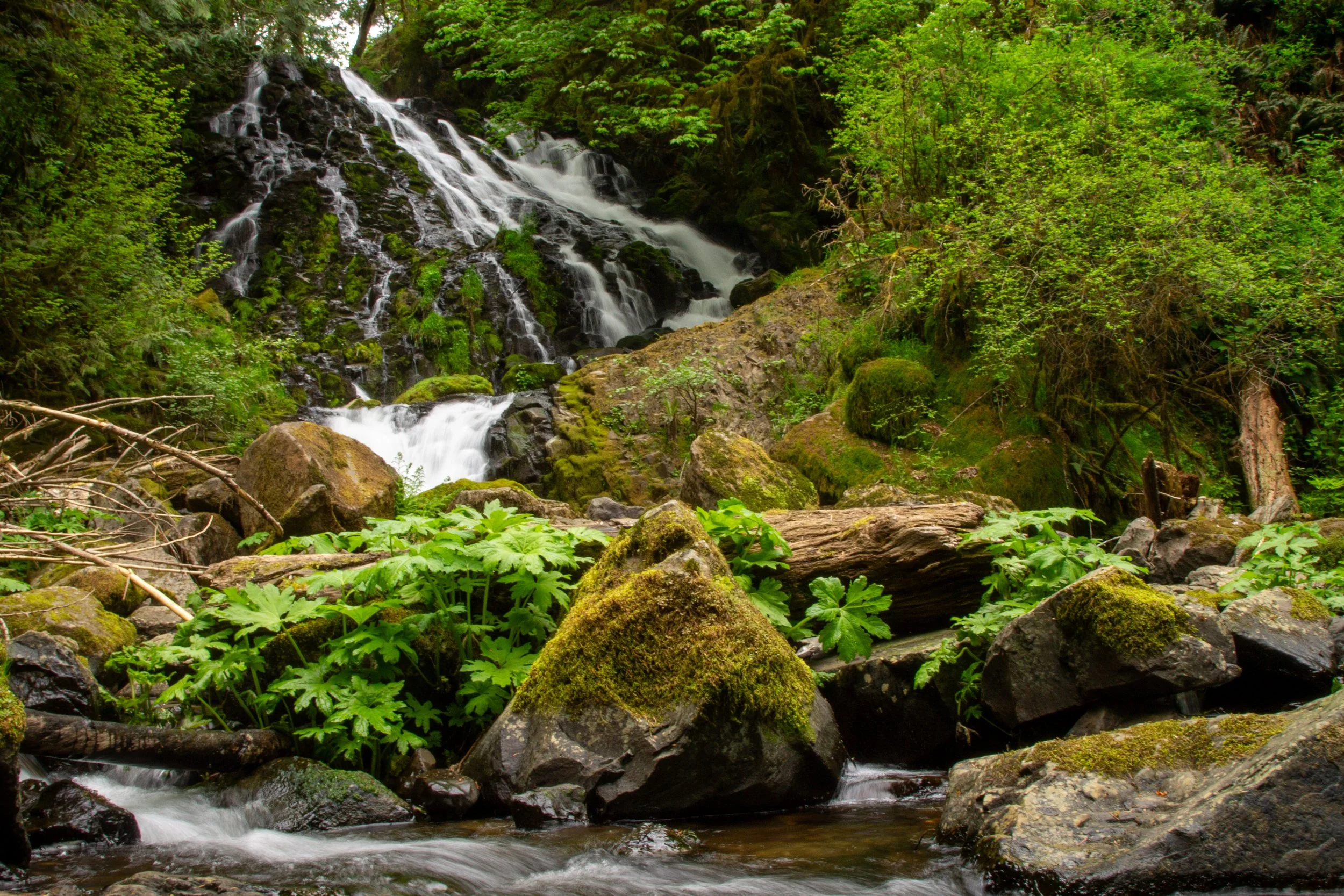 Fishhawk Falls