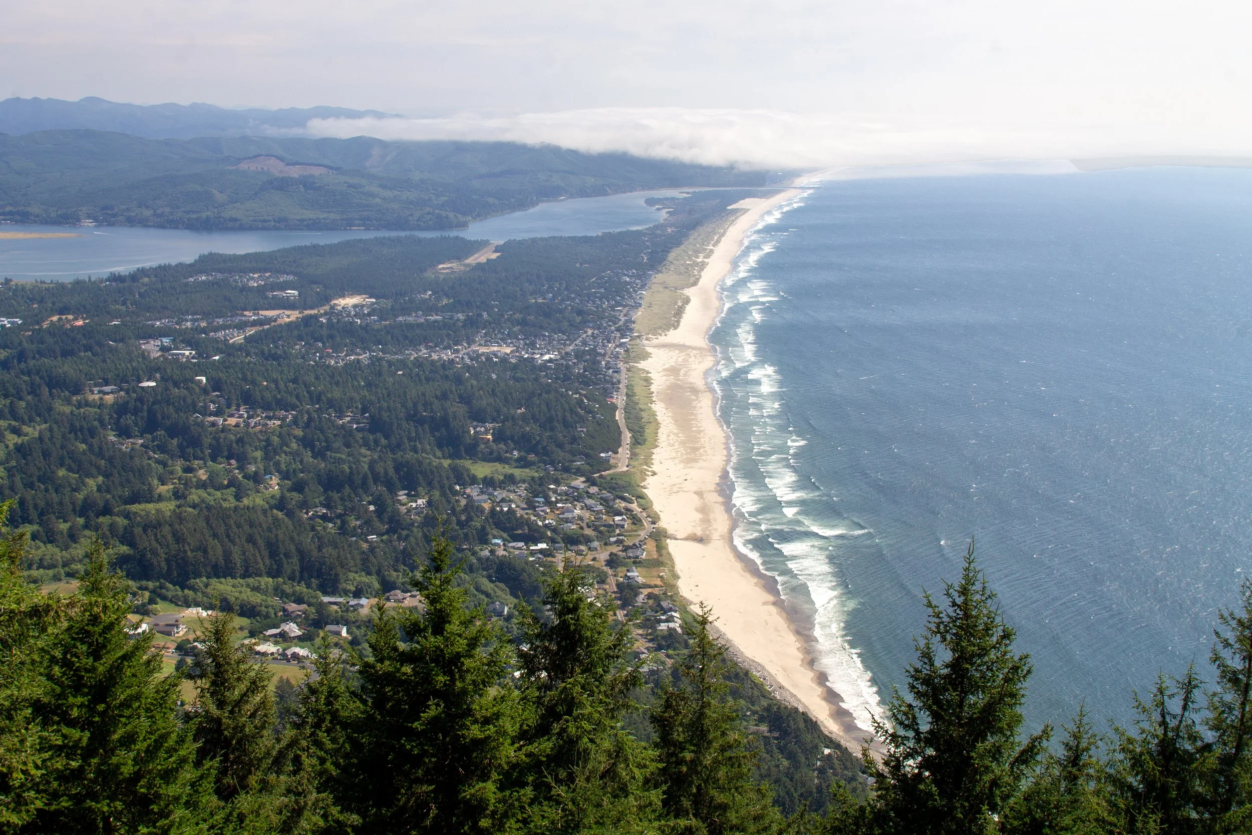 Manzanita from Neahkahnie Mountain