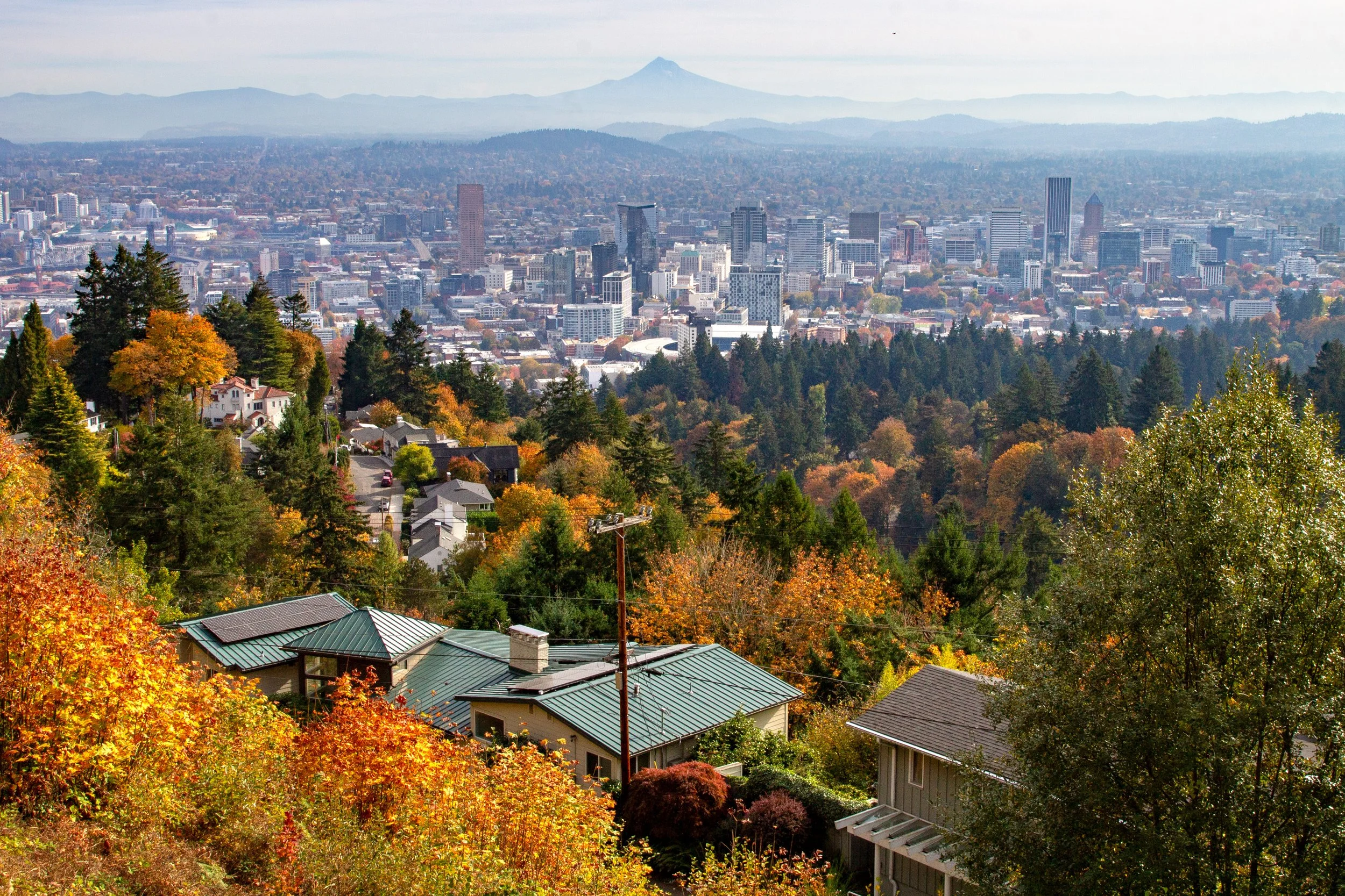 View of downtown Portland and Mount Hood with fall leaves