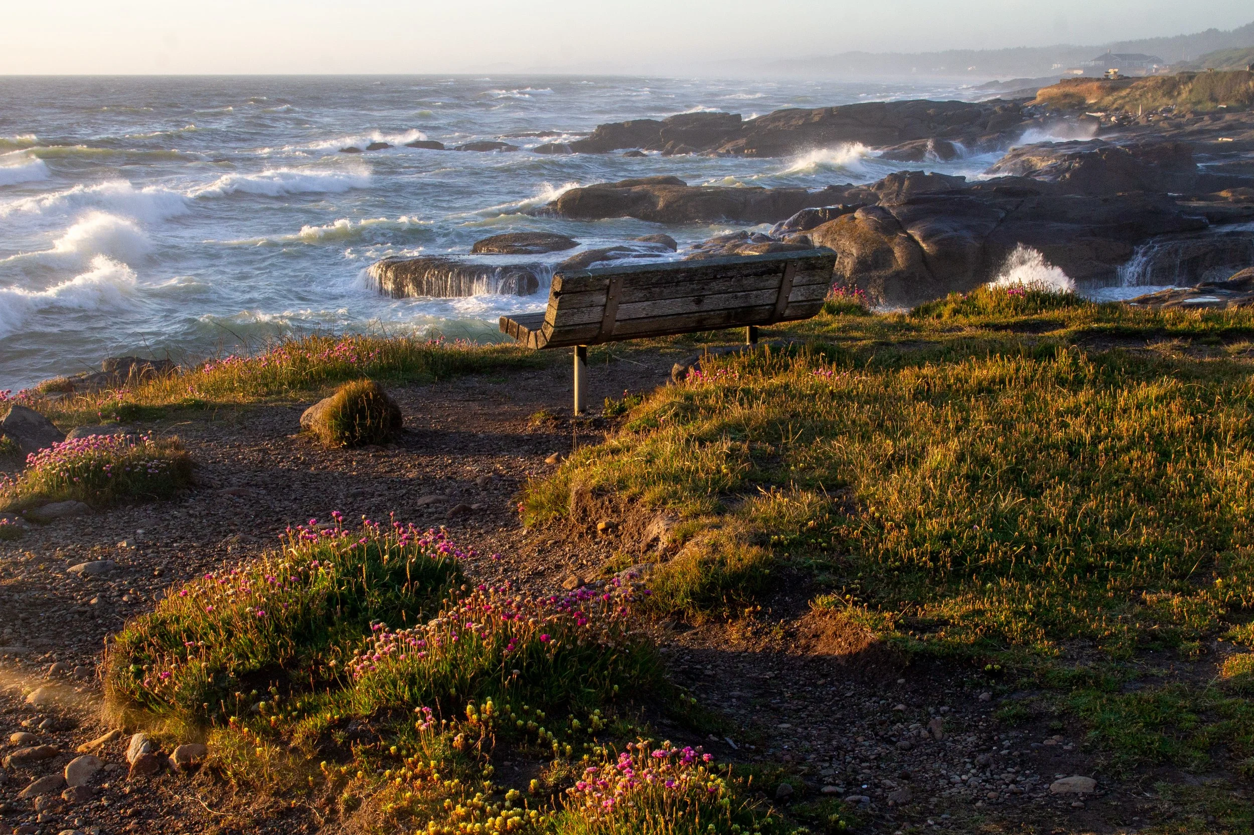 Bench overlooking the Yachats coastline