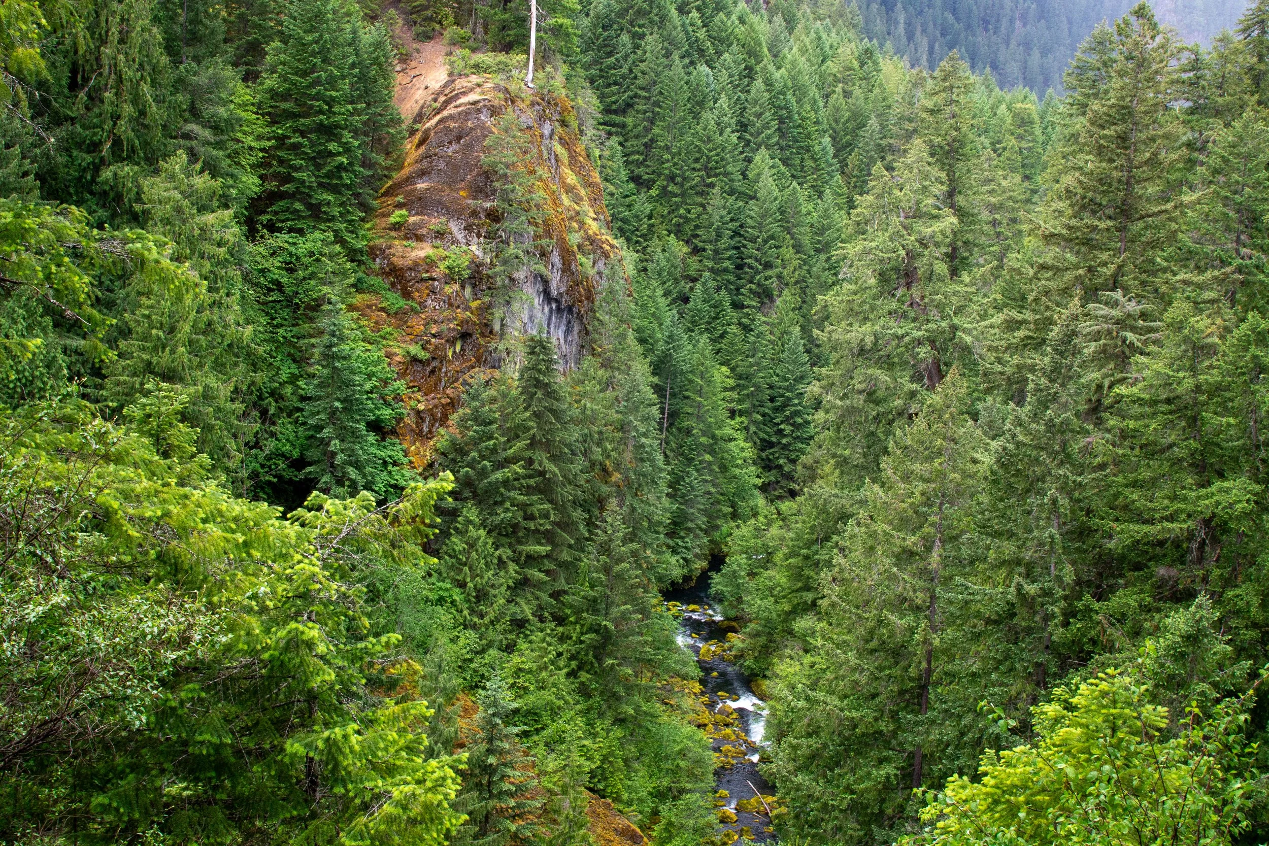 North Umpqua River at base of forested canyon