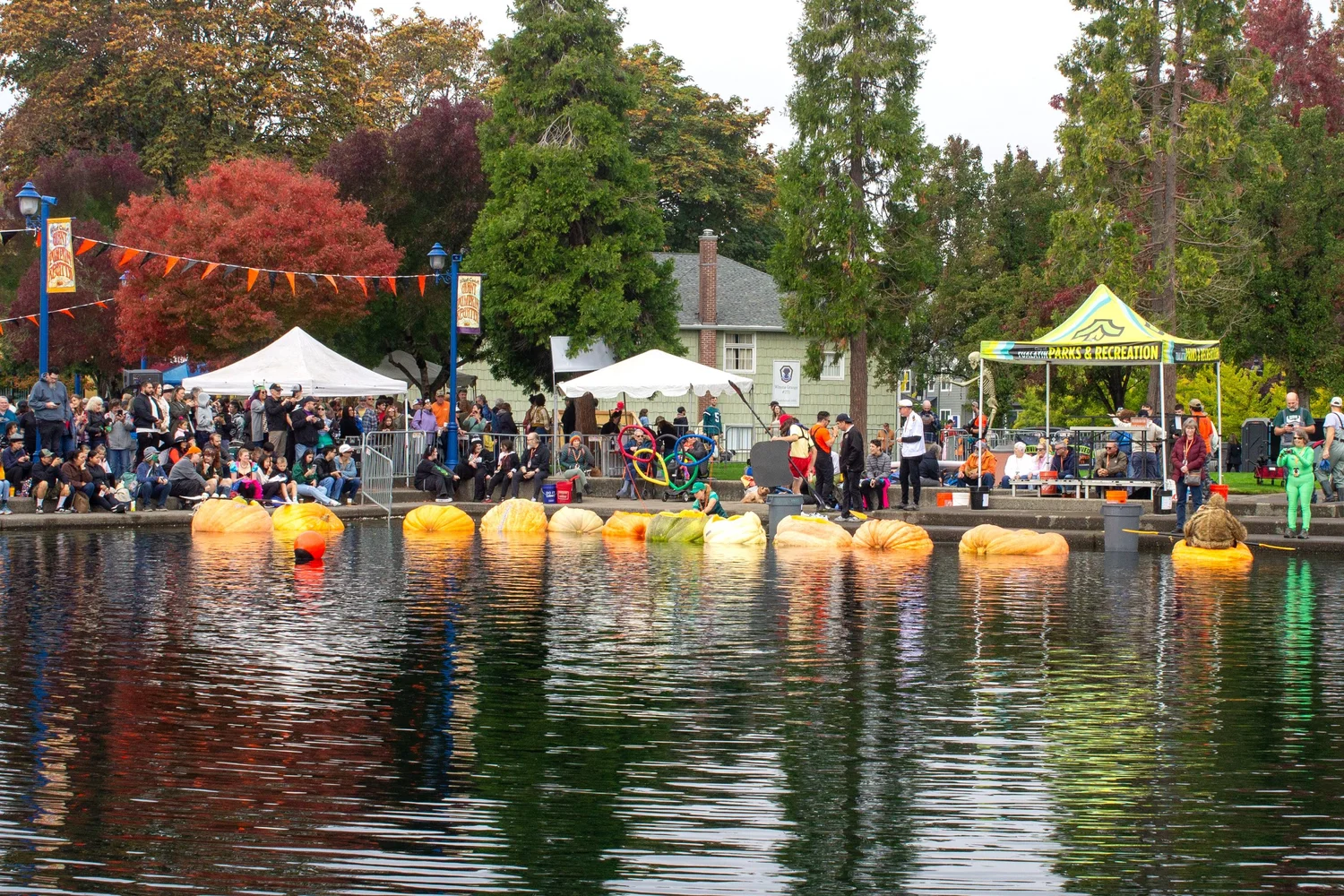 15 Best Fall Activities in Portland [Local’s Guide] — Pines and Vines