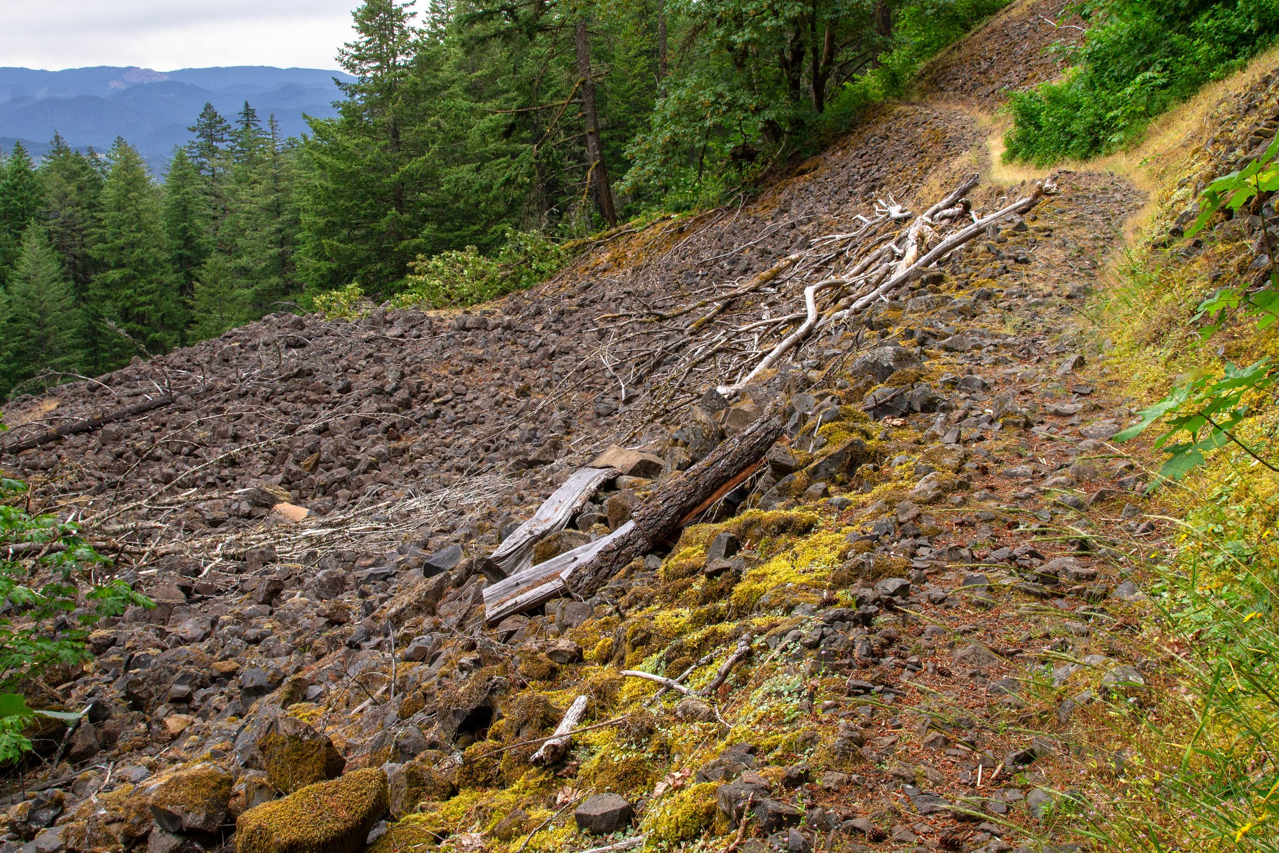Trail across talus slope