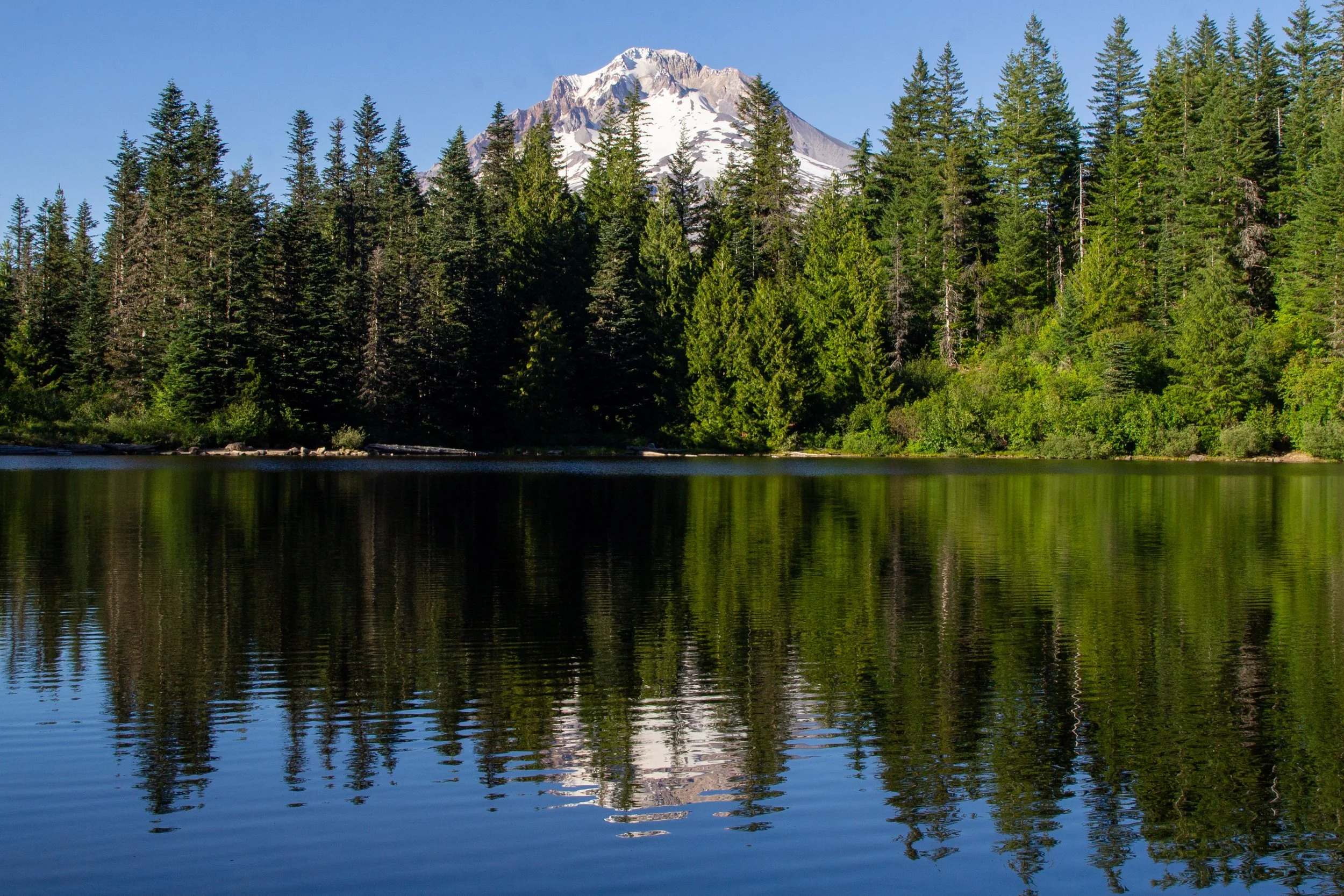 Mount Hood reflects off Mirror Lake