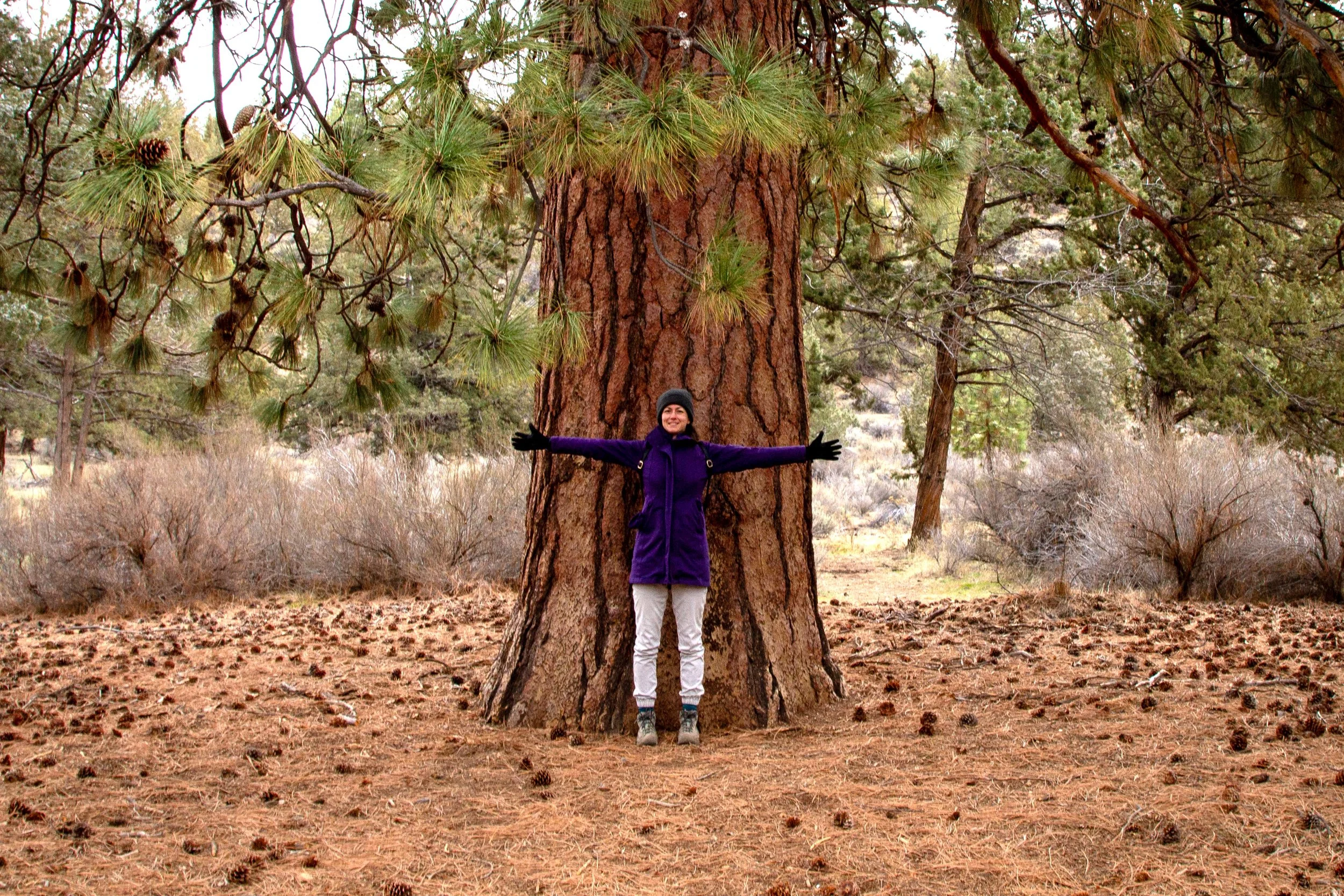 Woman in front of wide tree trunk
