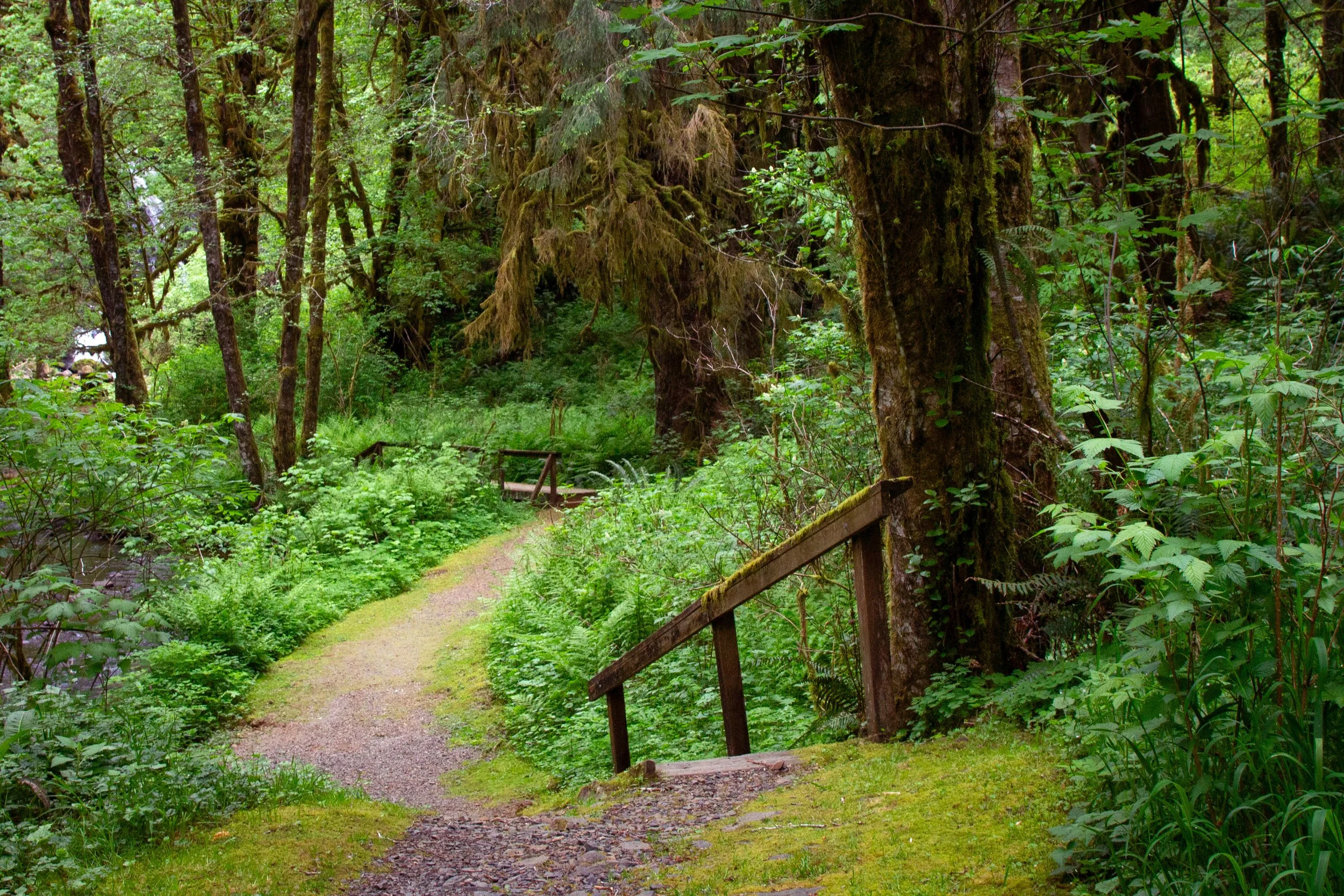 A few stairs on hiking trail through forest