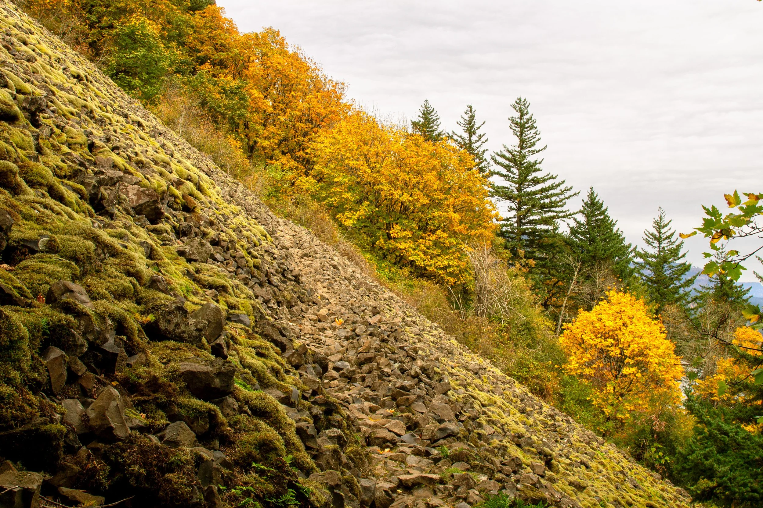 Rock scree trail to trees with yellow leaves