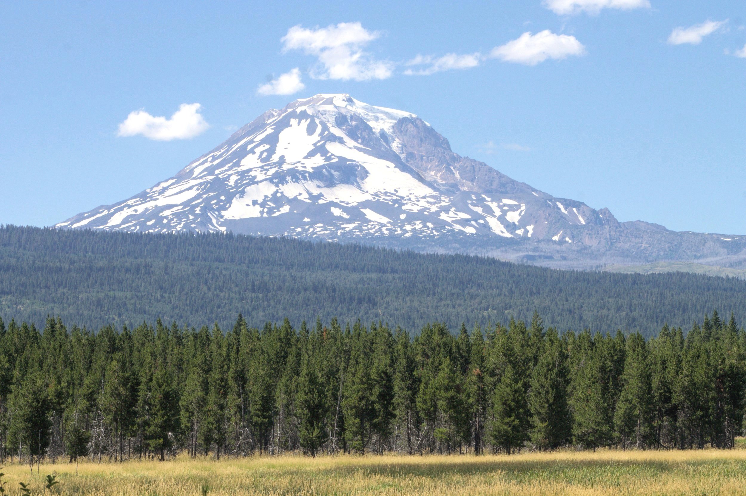 7 Fun Things to Do Near Mount Adams — Pines and Vines