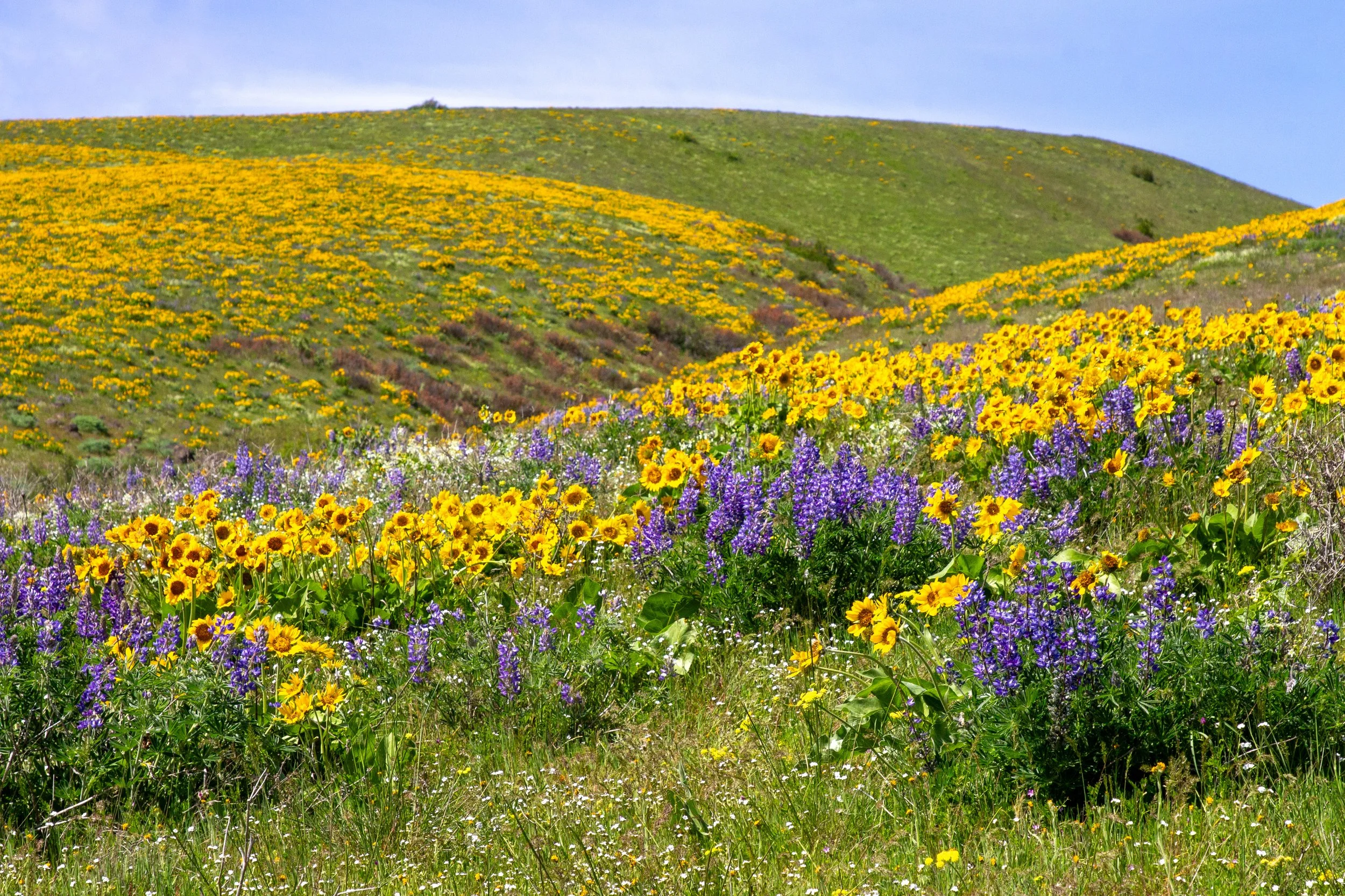 Sevenmile Hill Hiking Guide