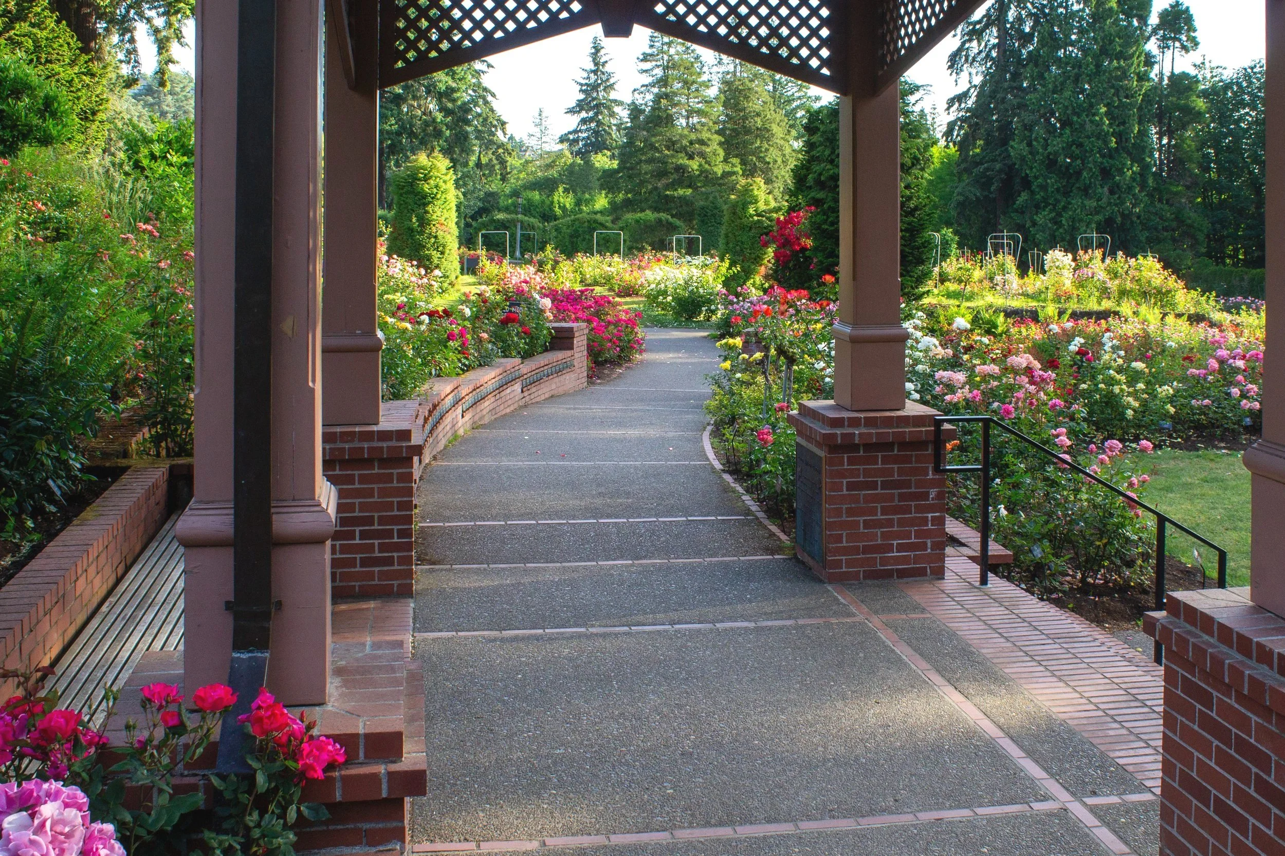 Paved trail under gazebo in Portland rose garden