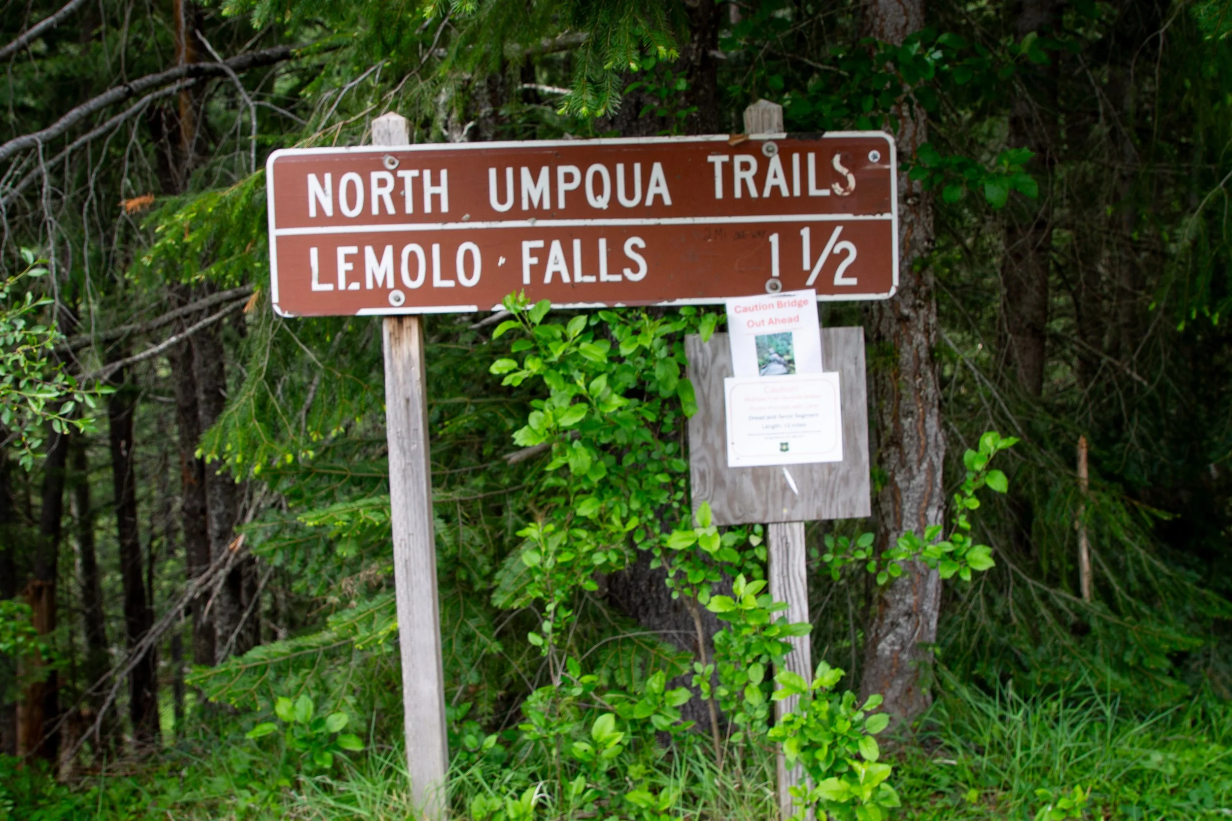 Sign for Lemolo Falls at trailhead