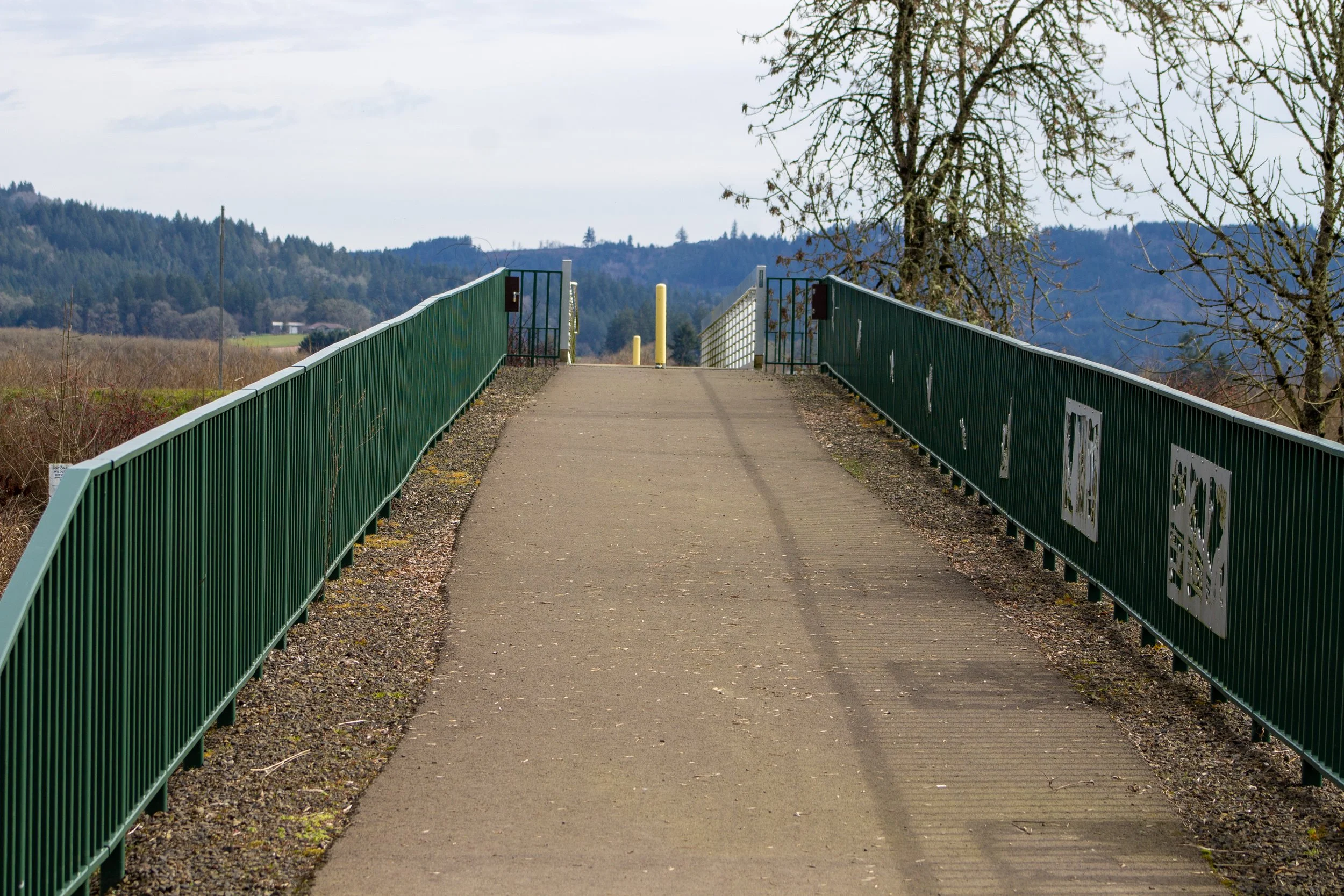 Levee Trail in Wapato Lake National Wildlife Refuge