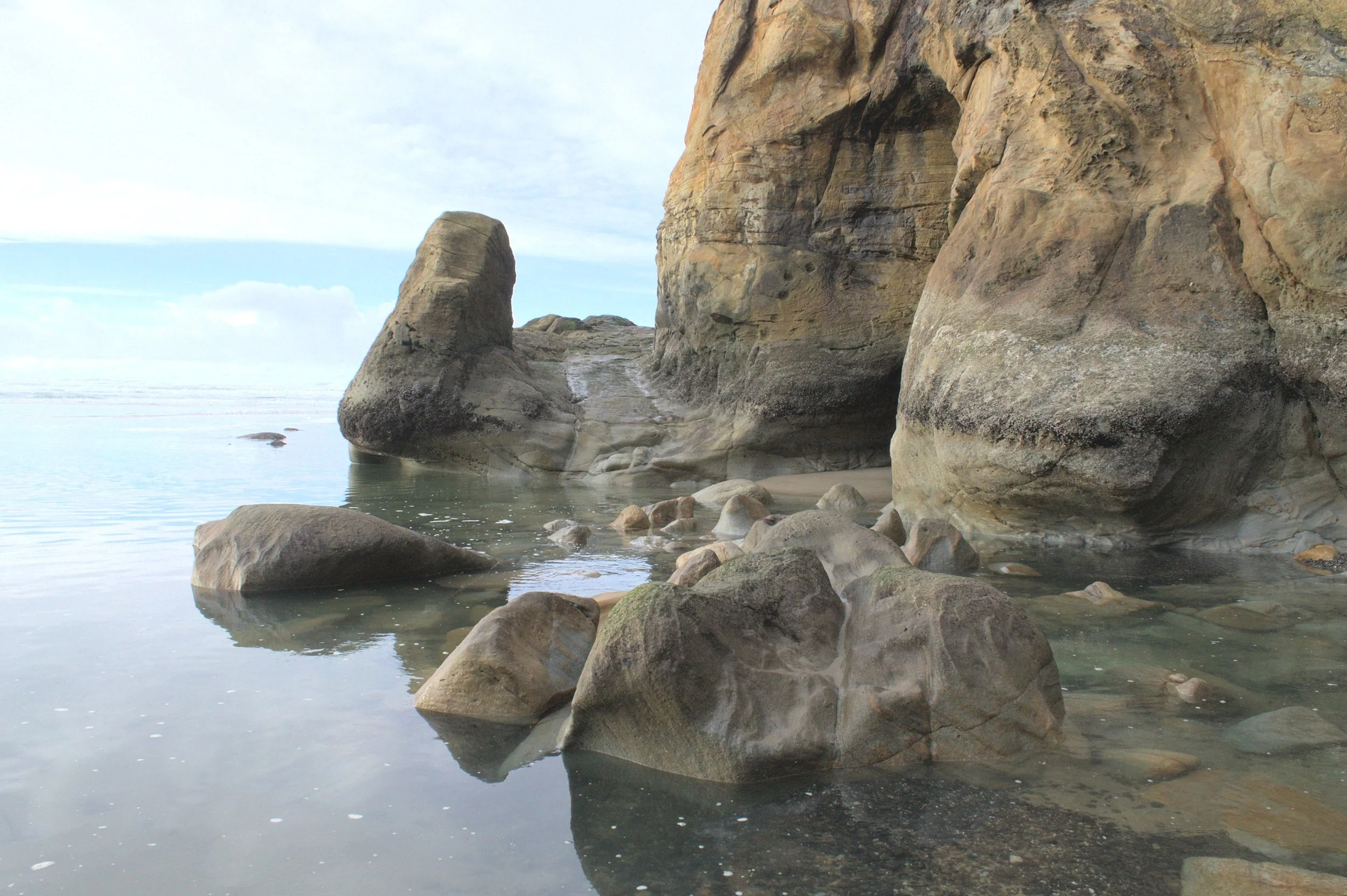 20 Best Oregon Coast Beaches to See Tidepools — Pines and Vines