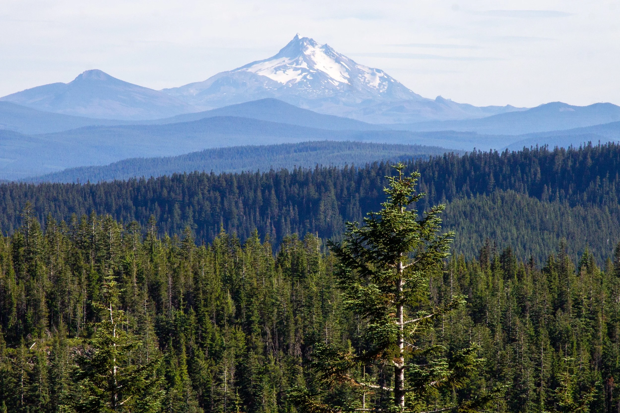 Mount Jefferson from Tom Dick and Harry Mountain