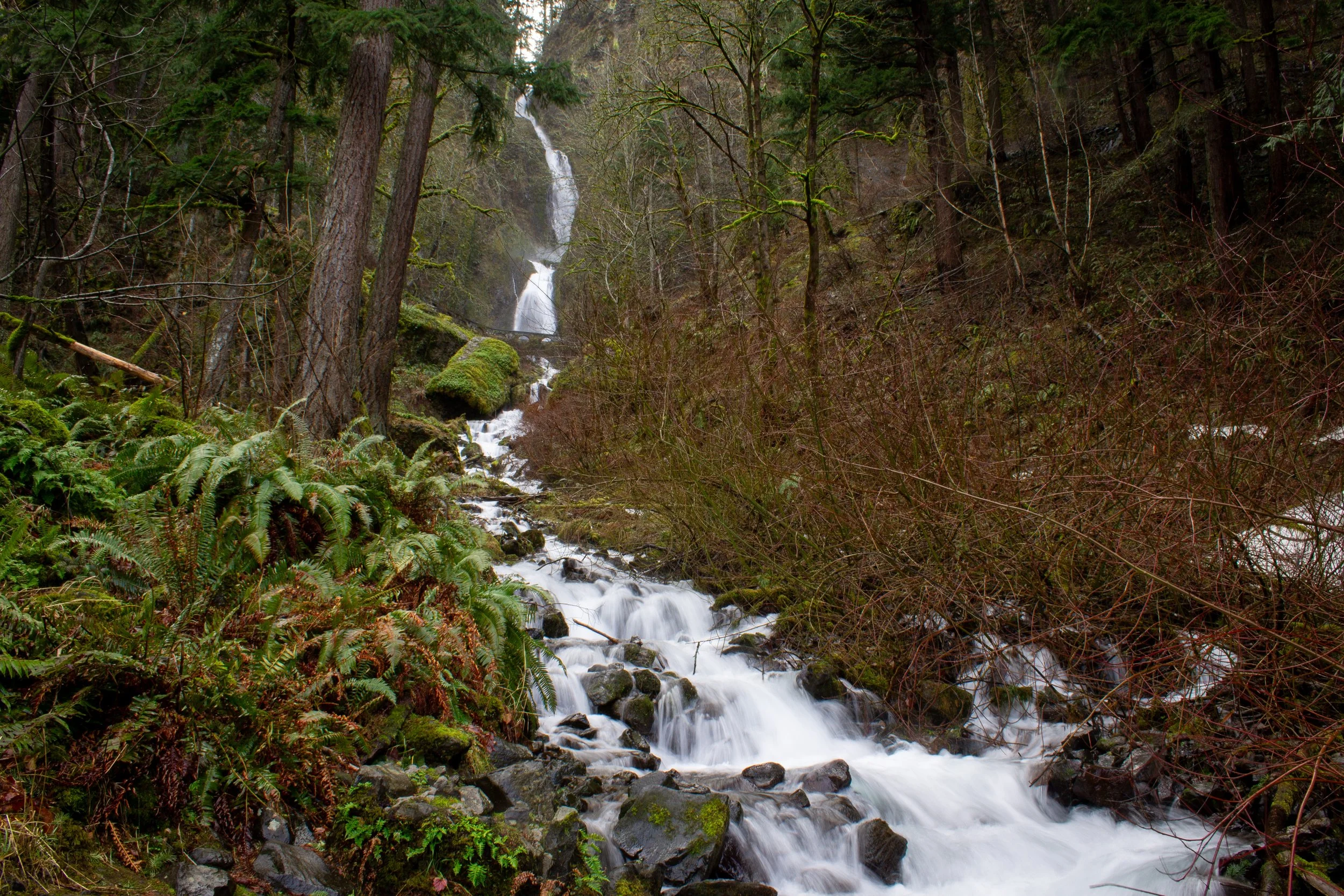 Cascading waterfall in winter forest