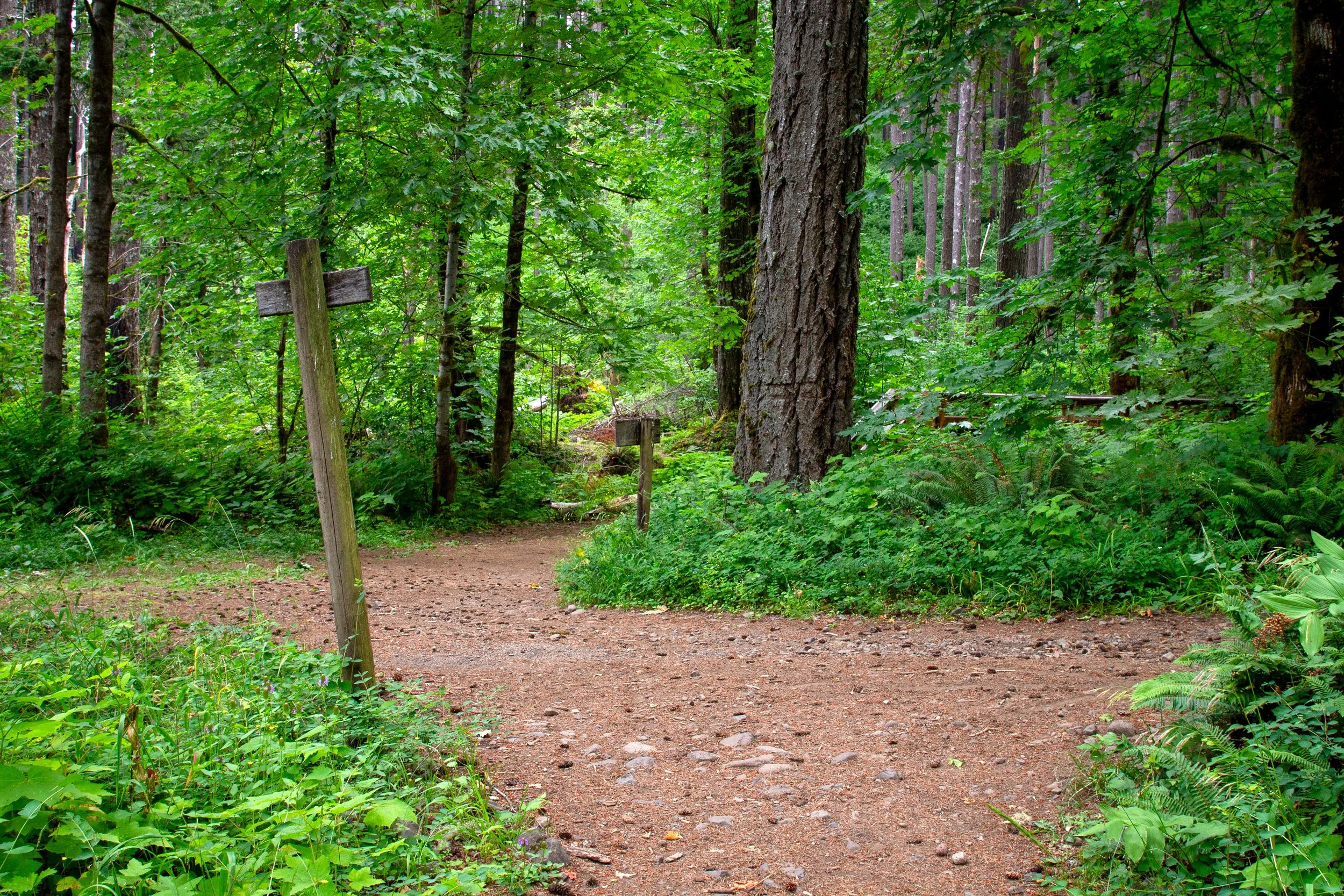 PCT meets Dry Creek Falls Road