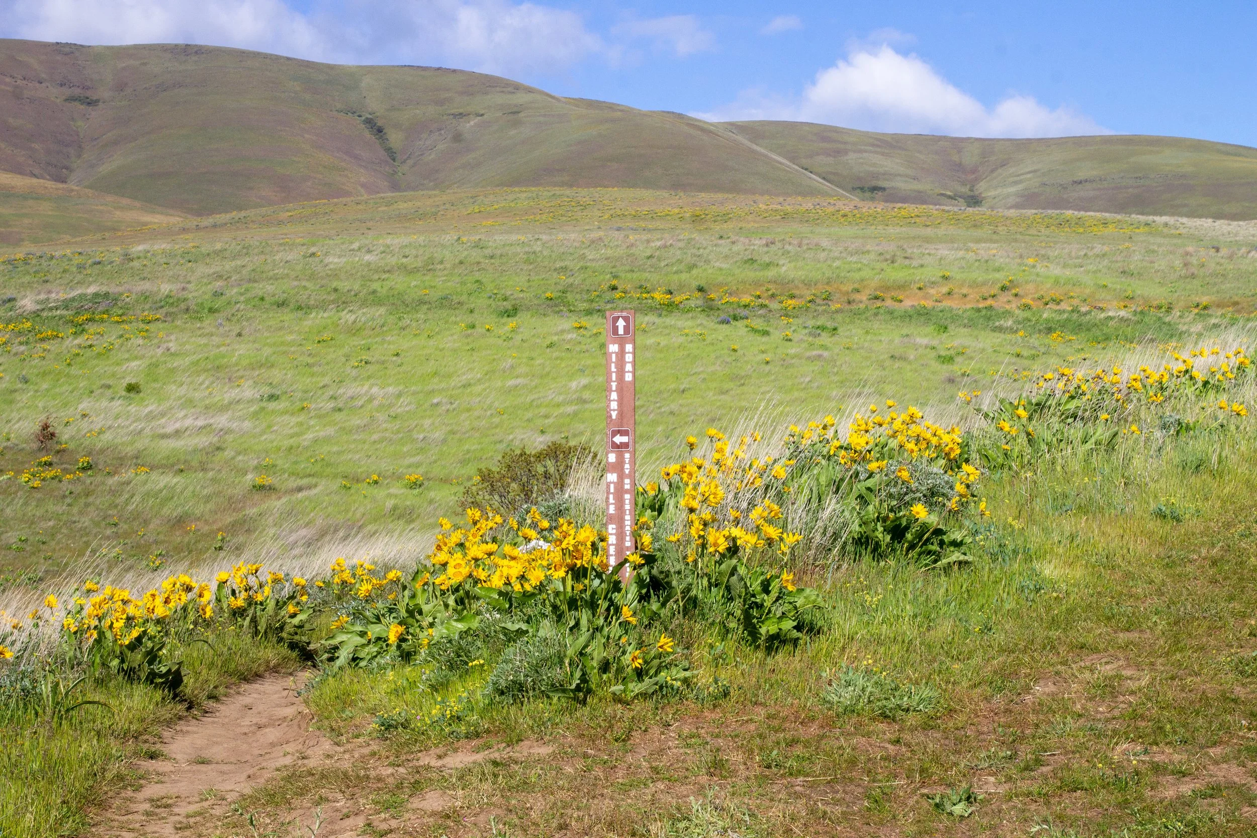Trail junction on Vista Loop