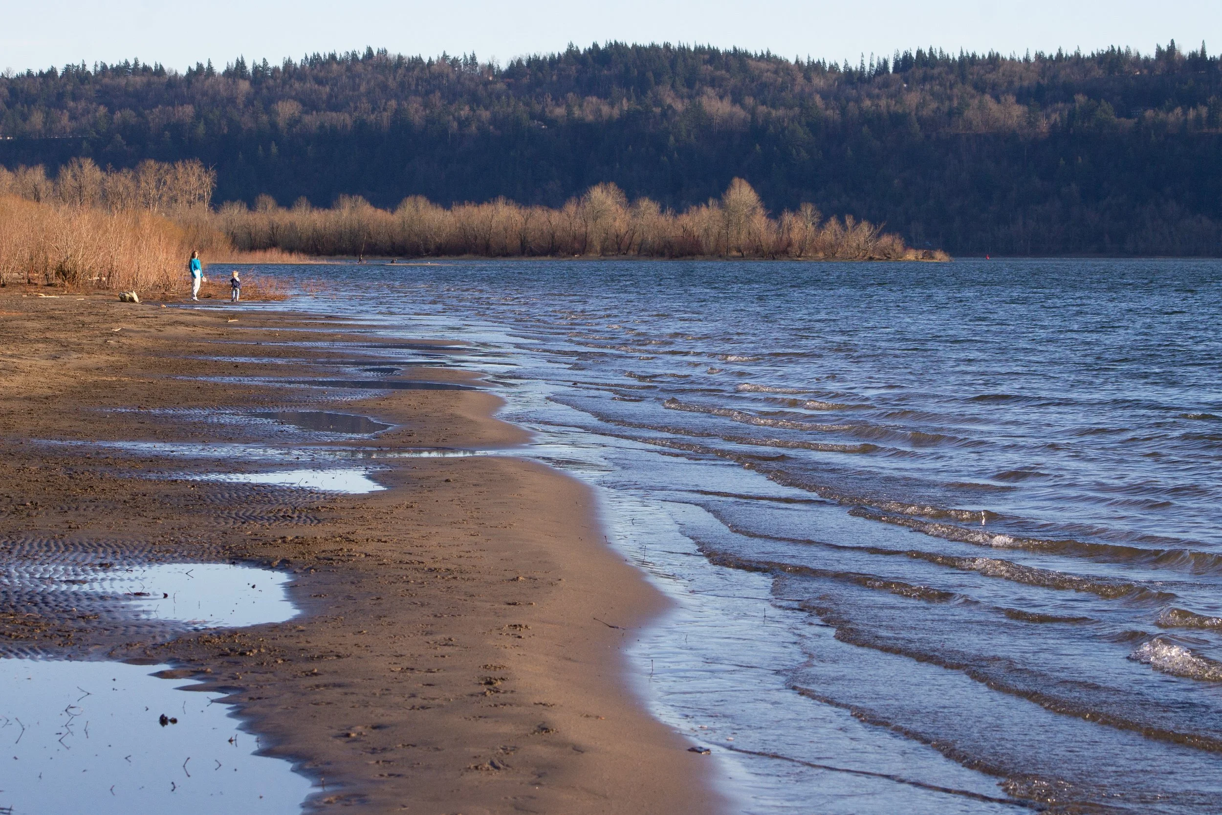 Cottonwood Beach on the Columbia River