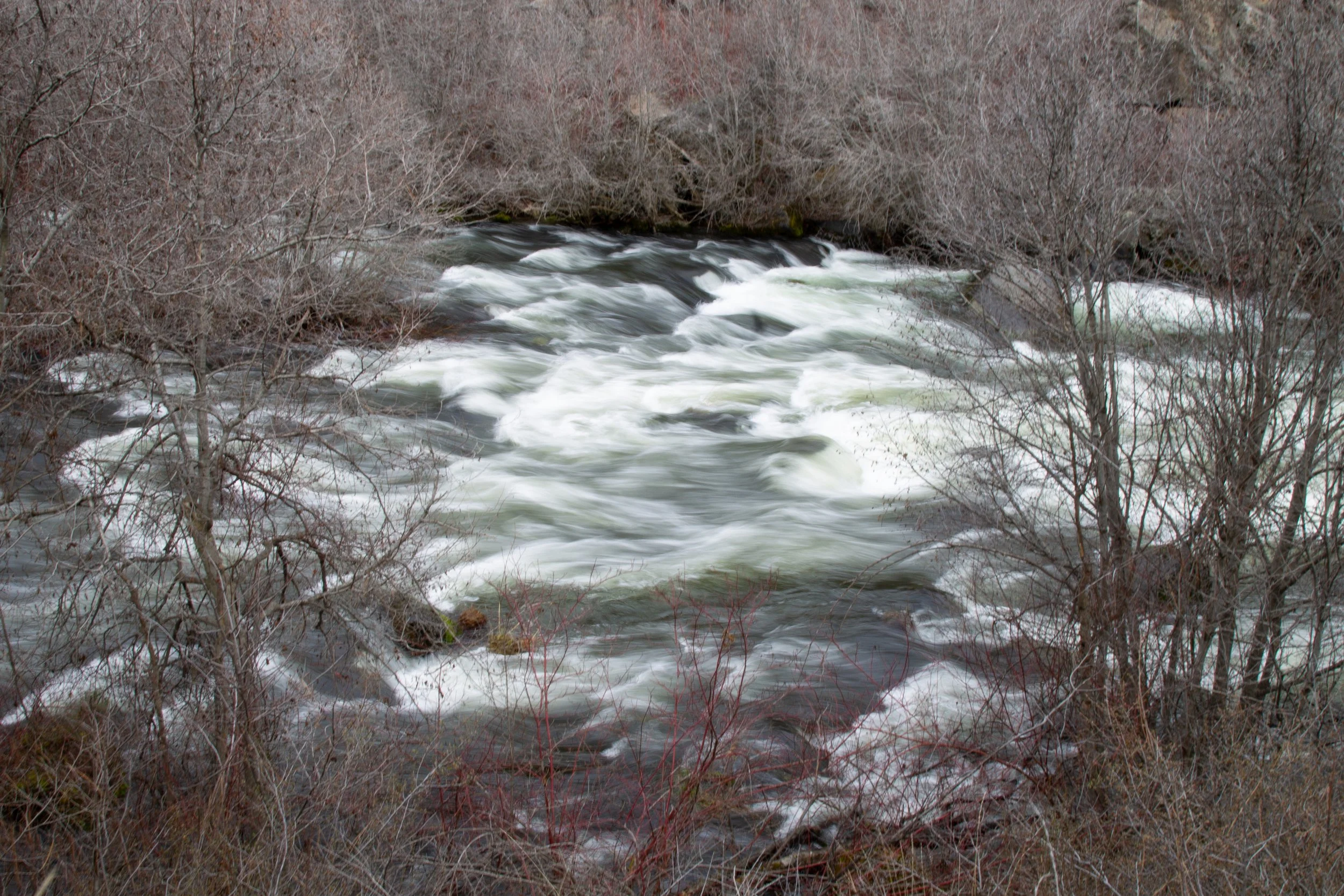 Rapids on Deschutes River