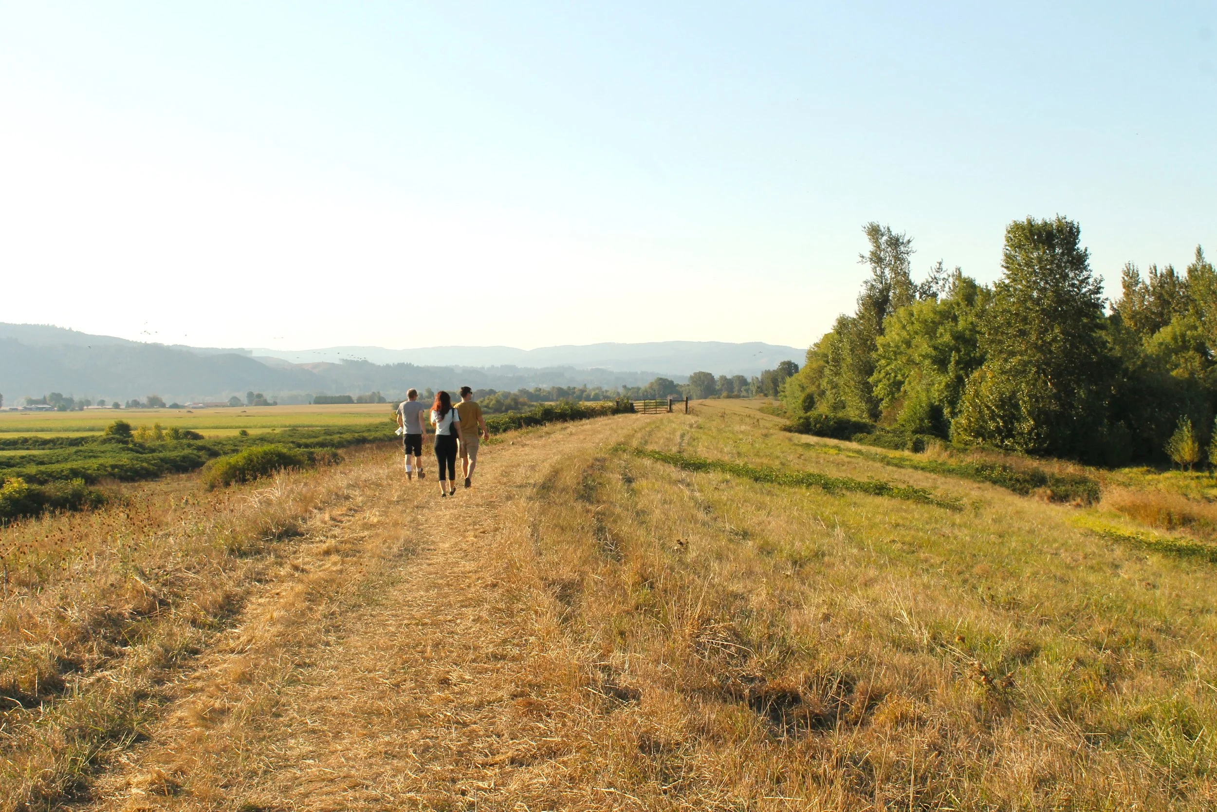 9 Fun Things to Do on Sauvie Island — Pines and Vines — Pines and Vines