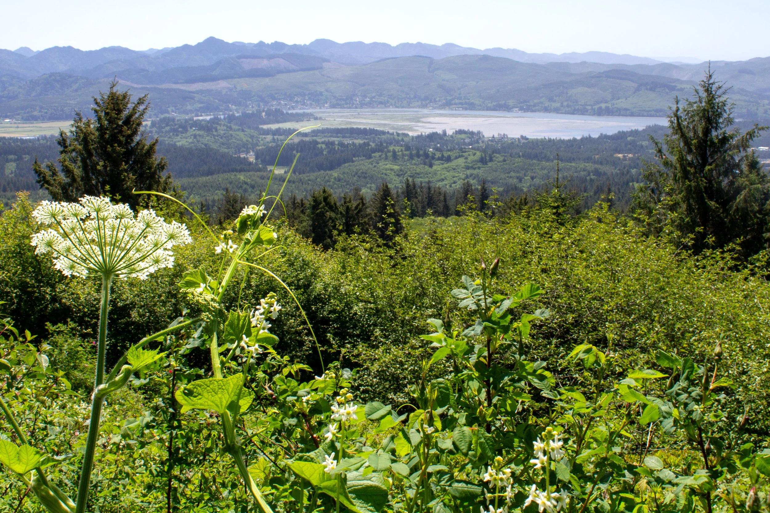 Nehalem Bay view from Neahkahnie Mountain