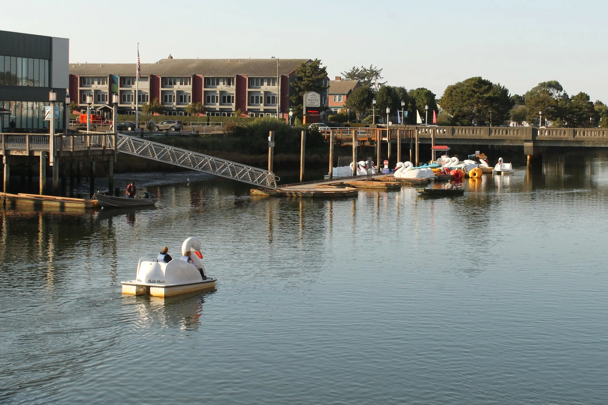 Swan paddle boats in Seaside