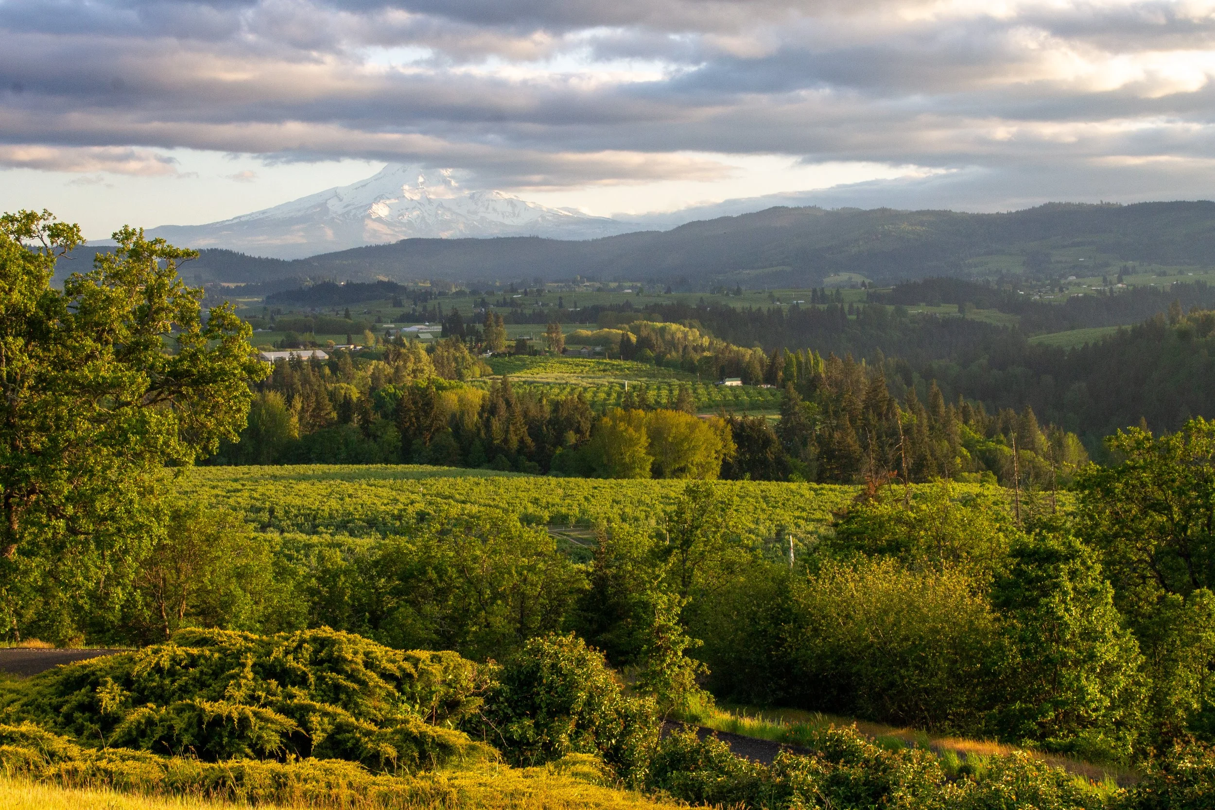 Panorama Point Overlook in Hood River