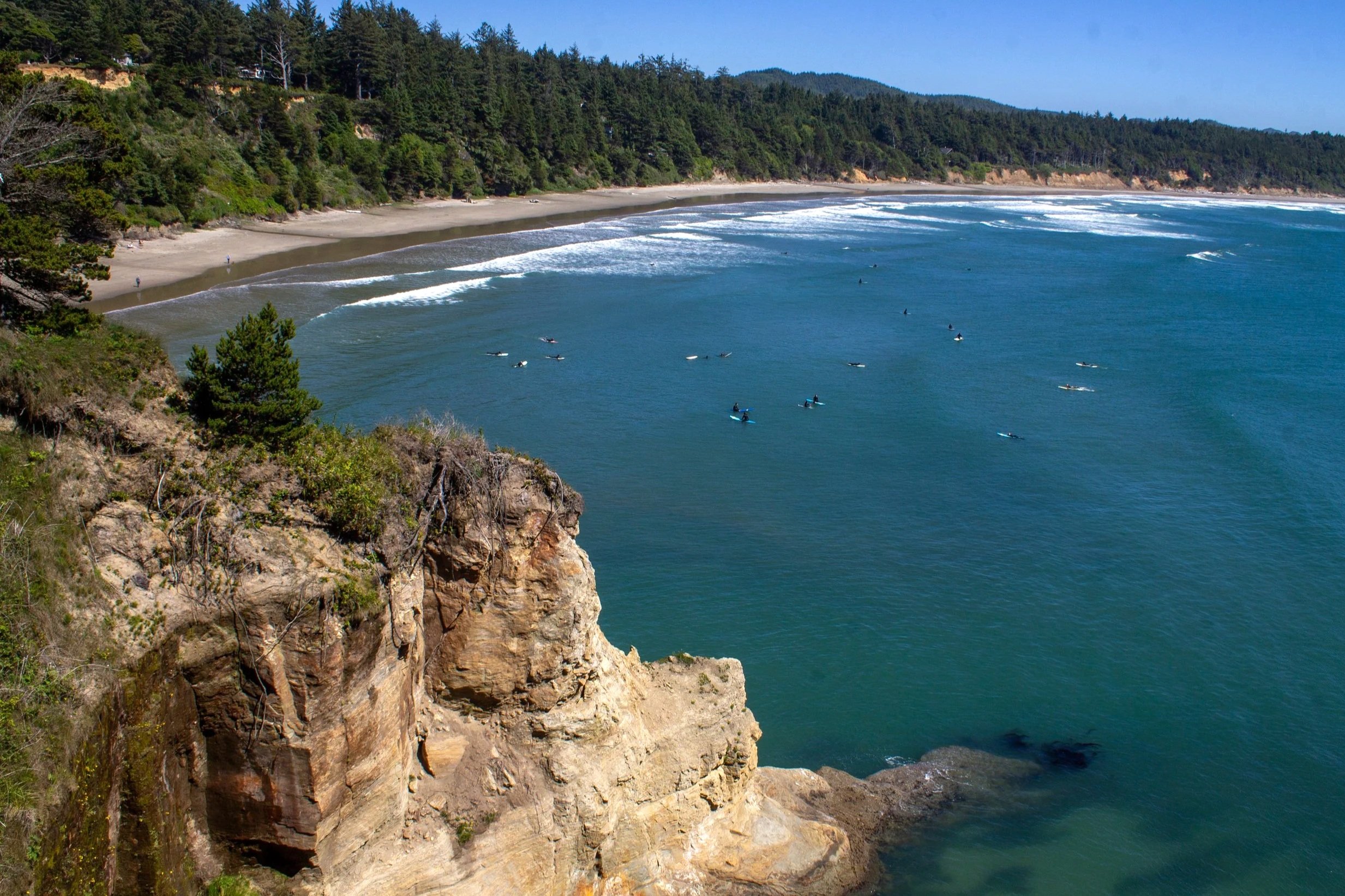Surfers at beautiful beach