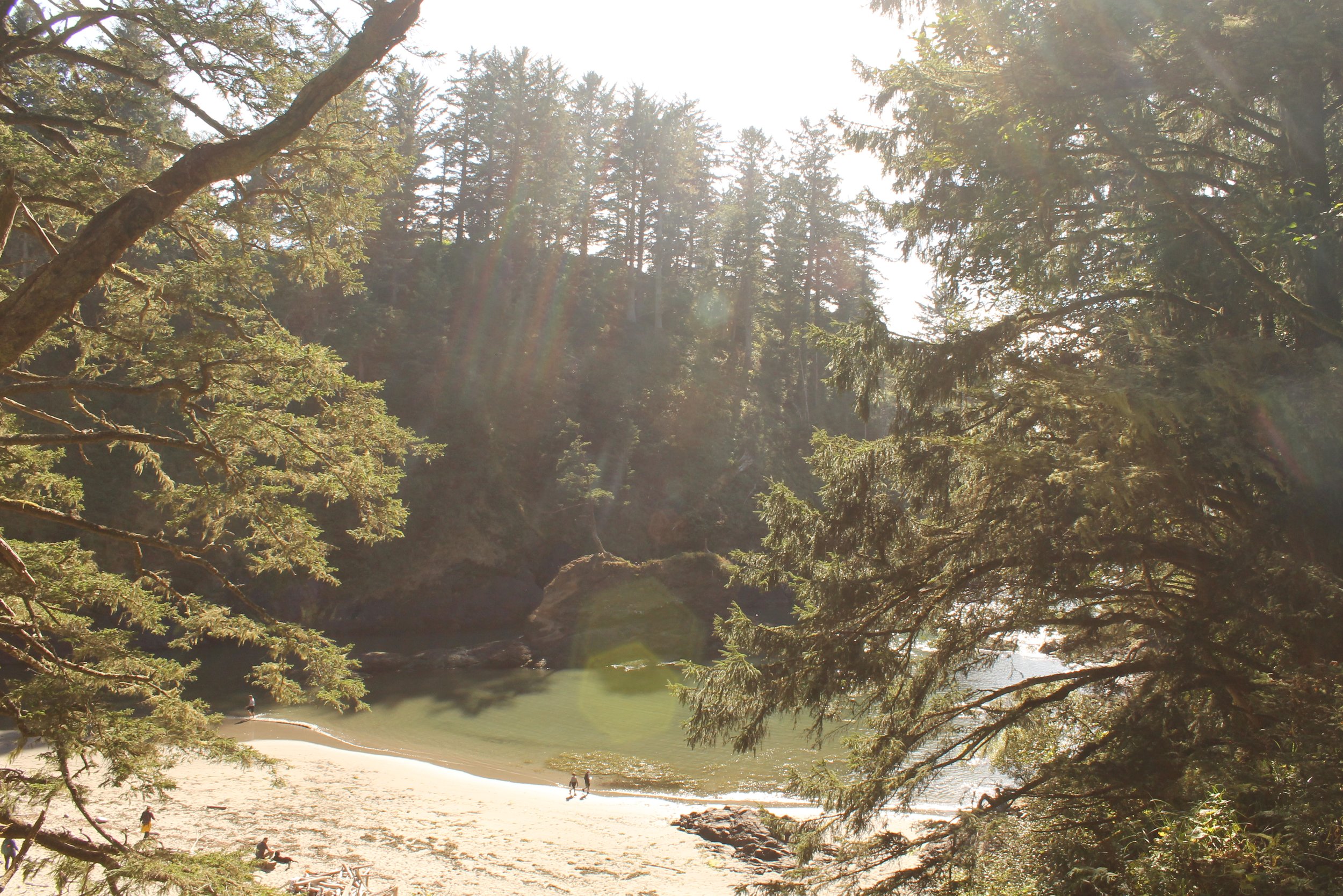 Cape Disappointment State Park
