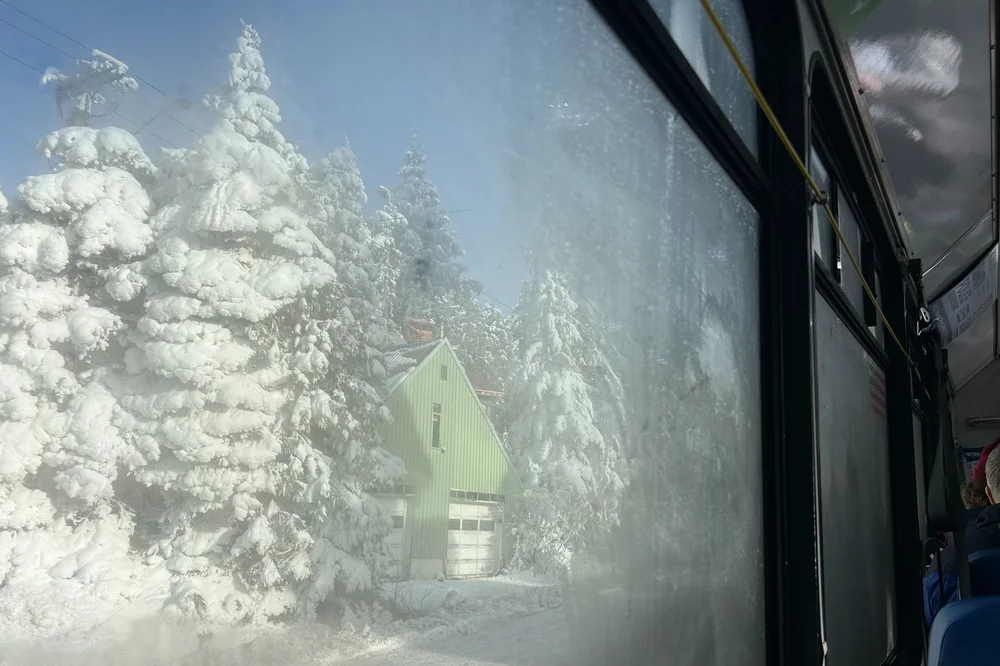 How To Take The Mt Hood Express To Timberline Lodge Pines And Vines how-to-take-the-mt-hood-express-to-timberline-lodge-pines-and-vines