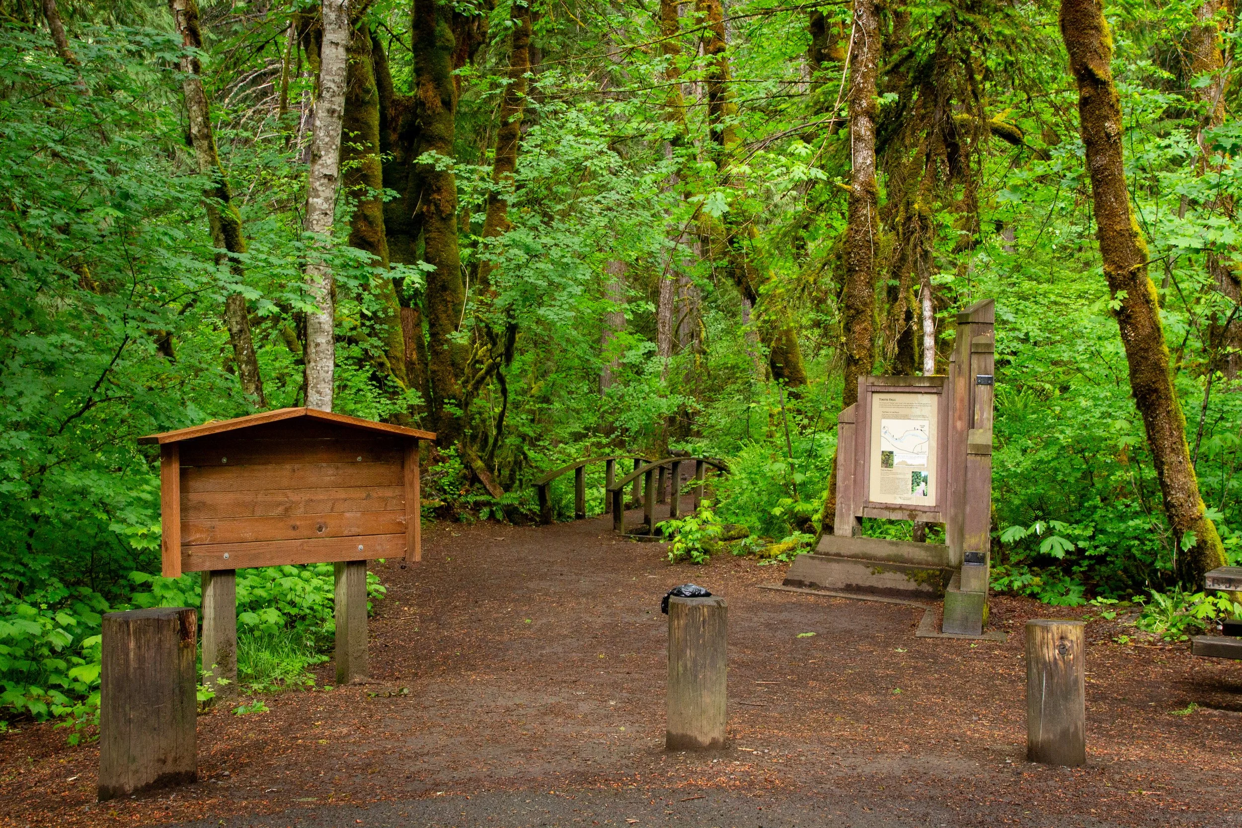 Toketee Falls Trailhead