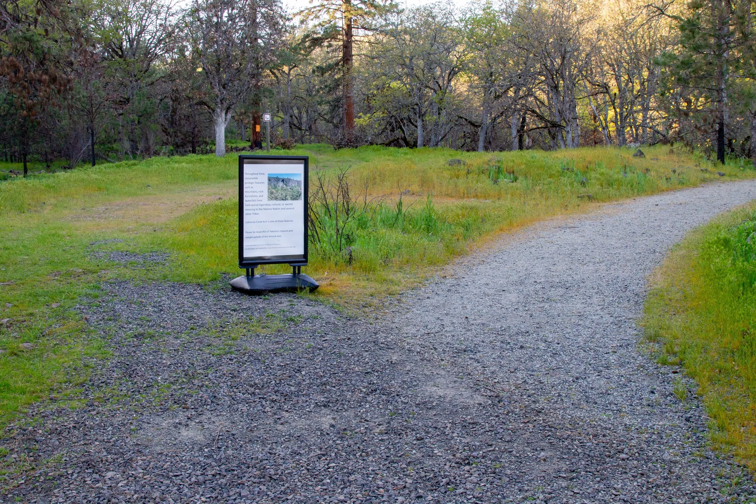 Trail splits in field