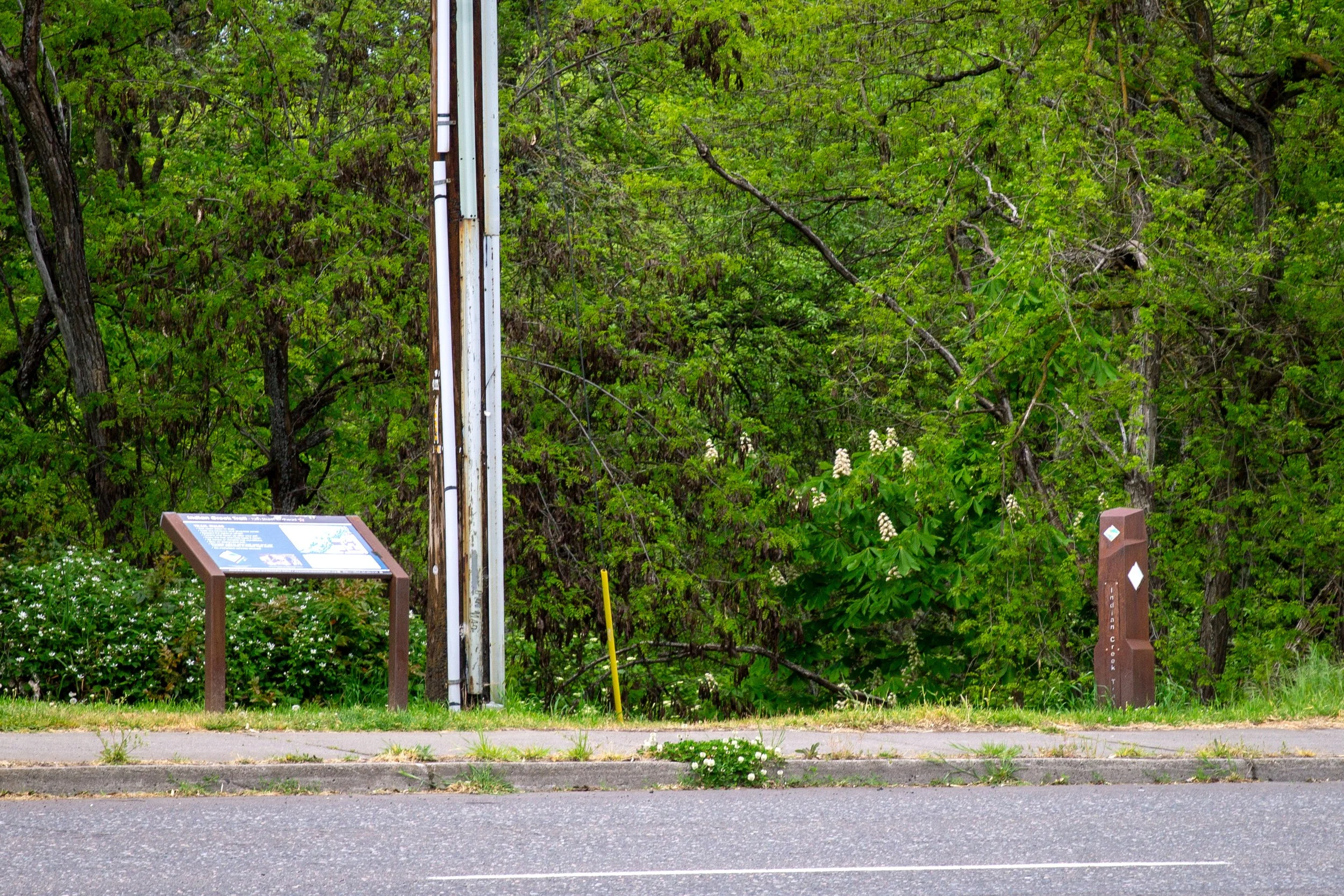 Trailhead signs along sidewalk
