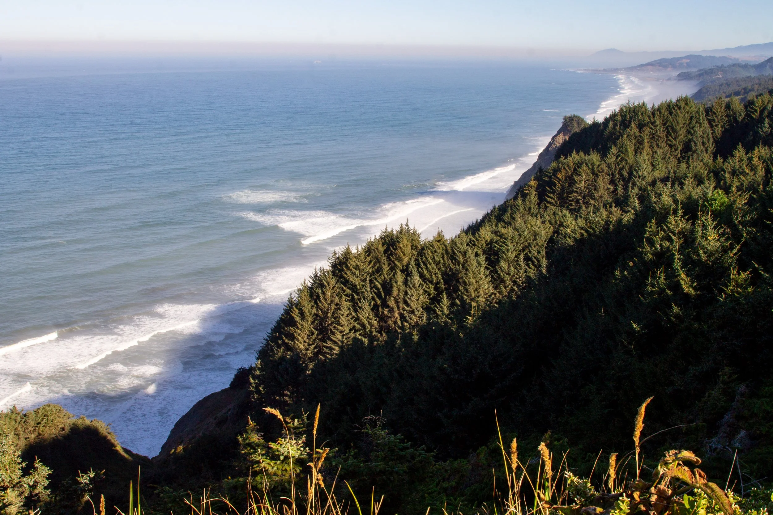 Cape Sebastian Trail