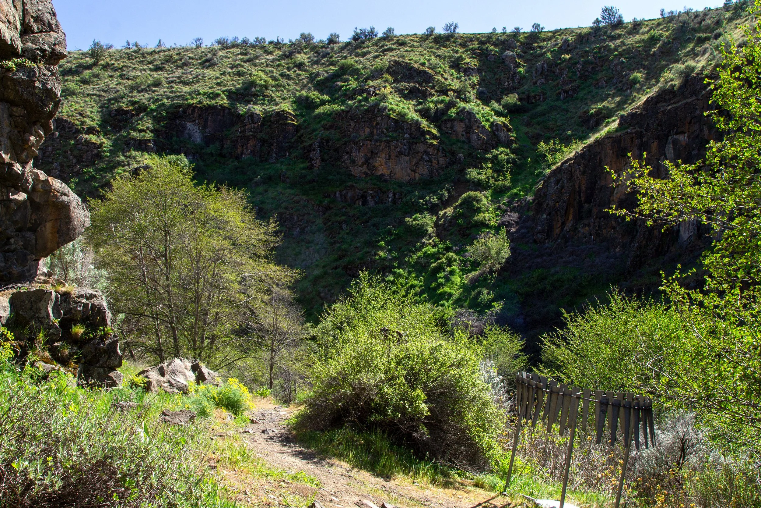 Dirt hiking trail in high desert canyon