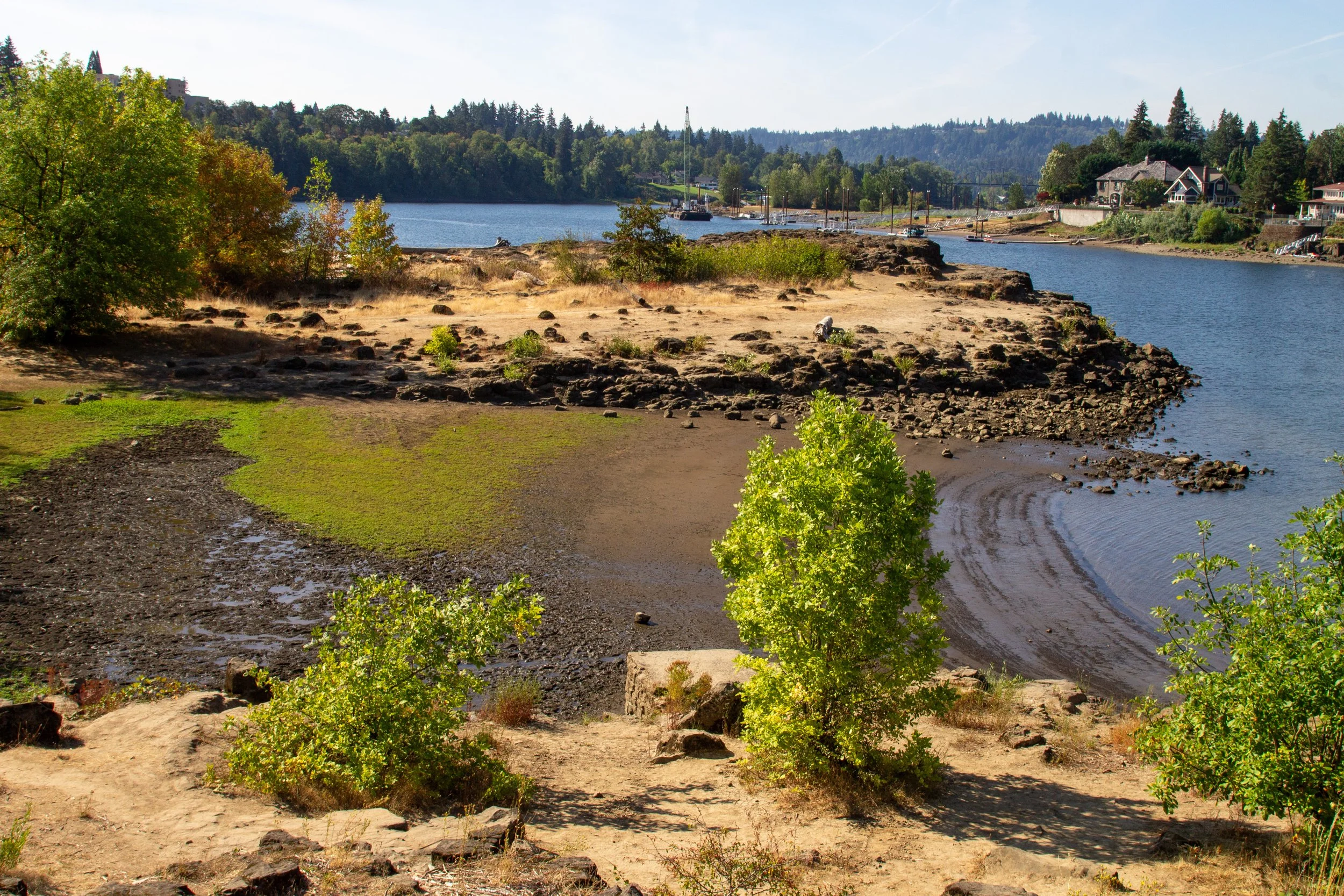 Rocky shore of Elk Rock Island
