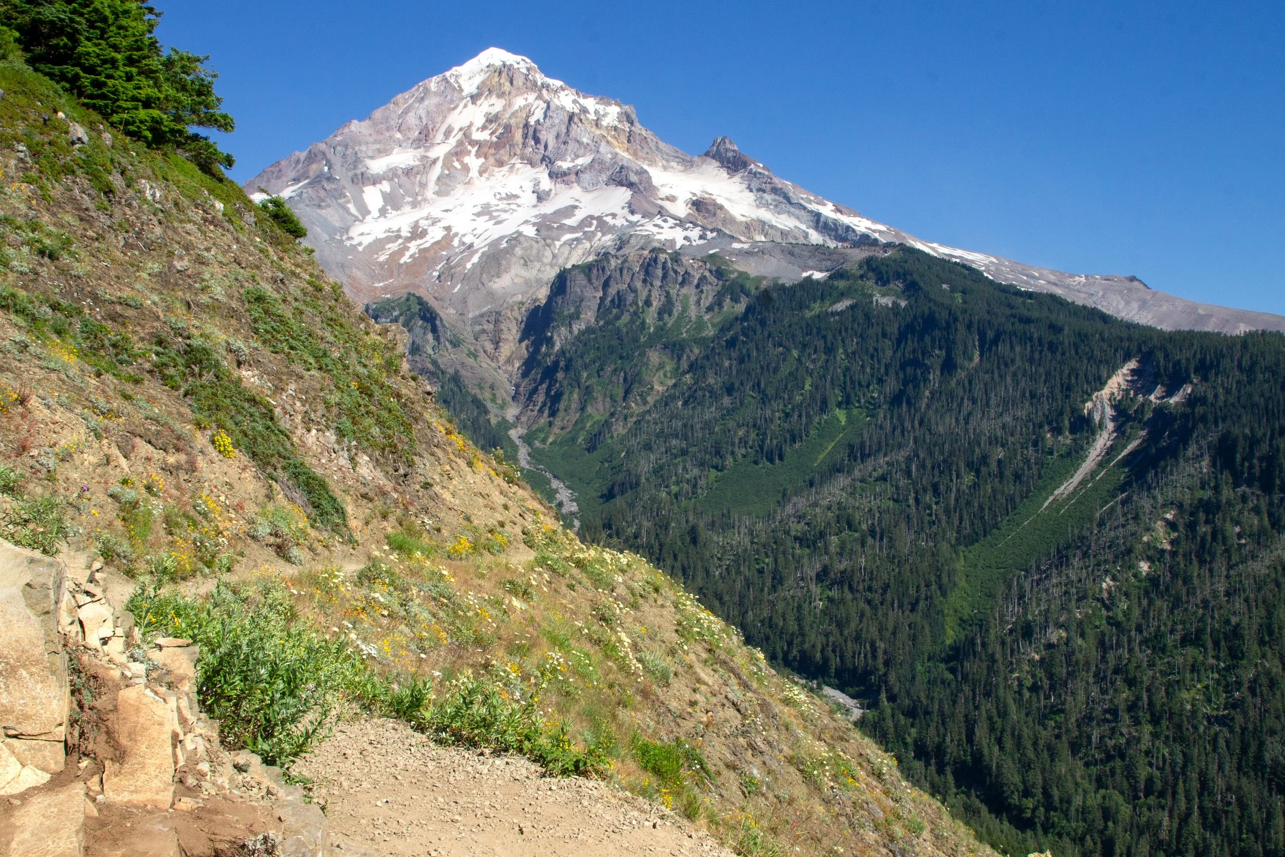 Mount Hood view from Bald Mountain